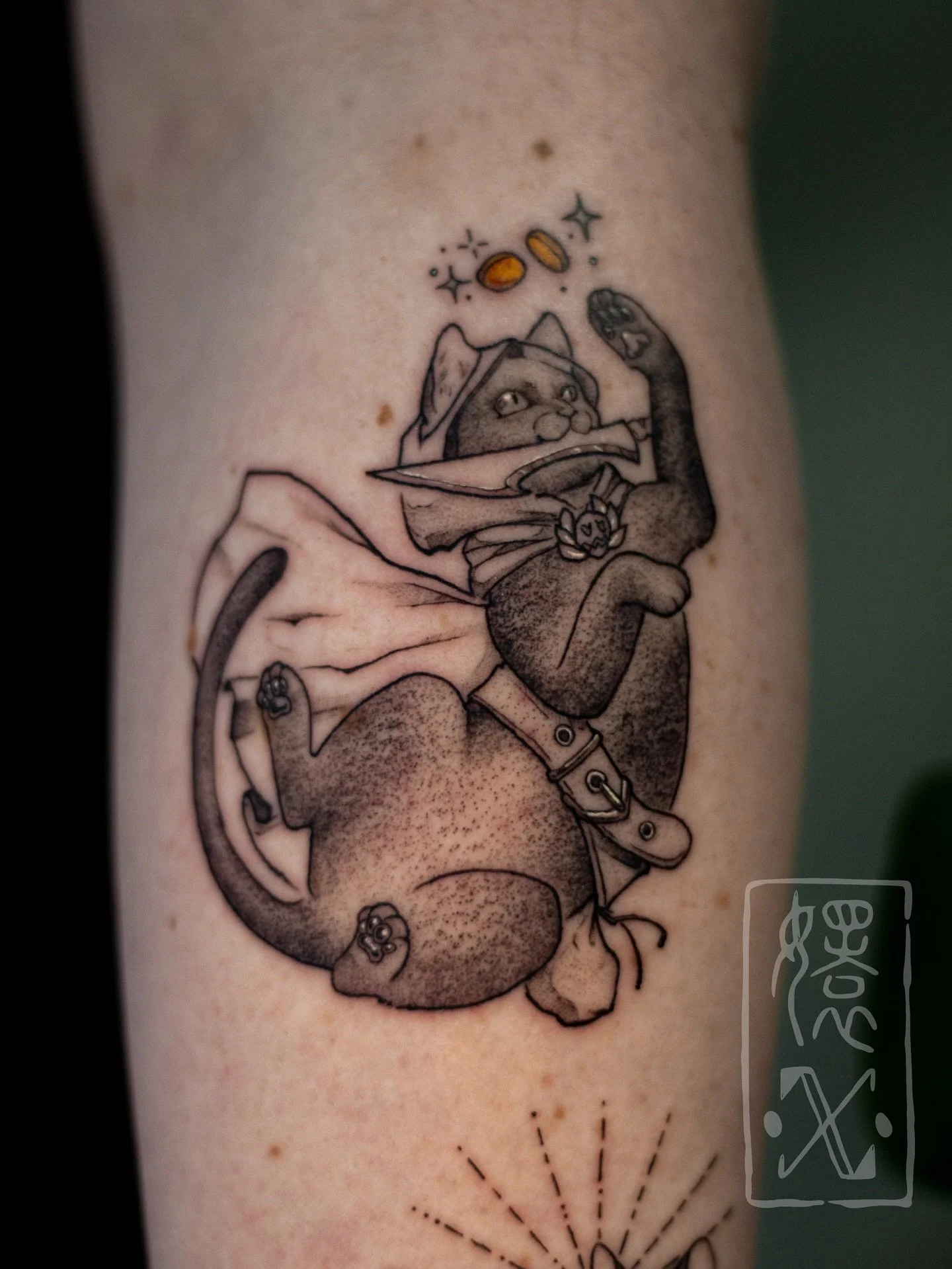 Meet Zagreus and Zelda 🐾 Custom pet portraits for Ben! Thank you as always for the trust 💗 

Ever imagine your cats as DnD characters because they just get up to all the mischief? 

Done @cakeisalietattoo 🍰 

#petportraitartist #pettattoo #dnd #dn