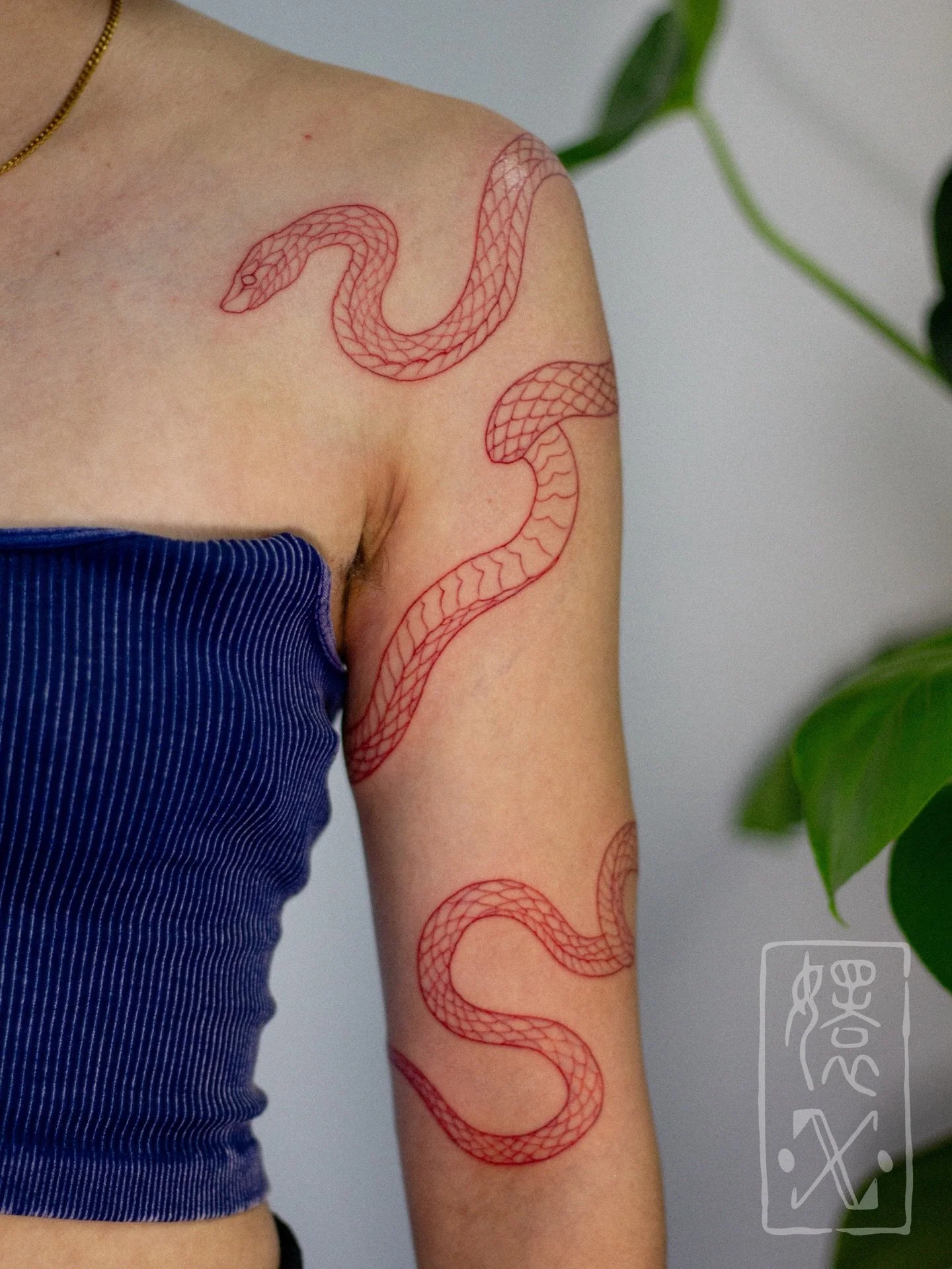 Red snake 🐍 tattoo for Jasmine 

Sometimes I gotta do stuff related to the name once in a while yno? Thank you for the fun piece ✨ 

Books for February&mdash;open soon, I need to revamp a bunch of website/backlogged stuff. Follow/save for inspo late