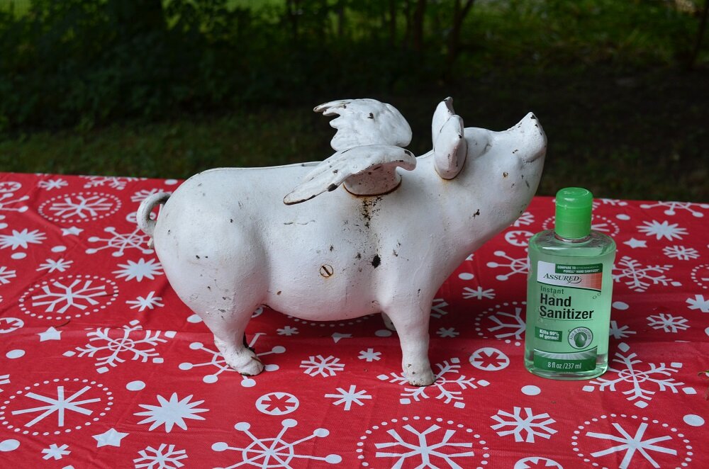 Evidently, pigs can fly and use hand sanitizer at the same time!  WHO KNEW? 