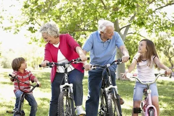 Grandparents biking with two young children in a park on a sunny day.
