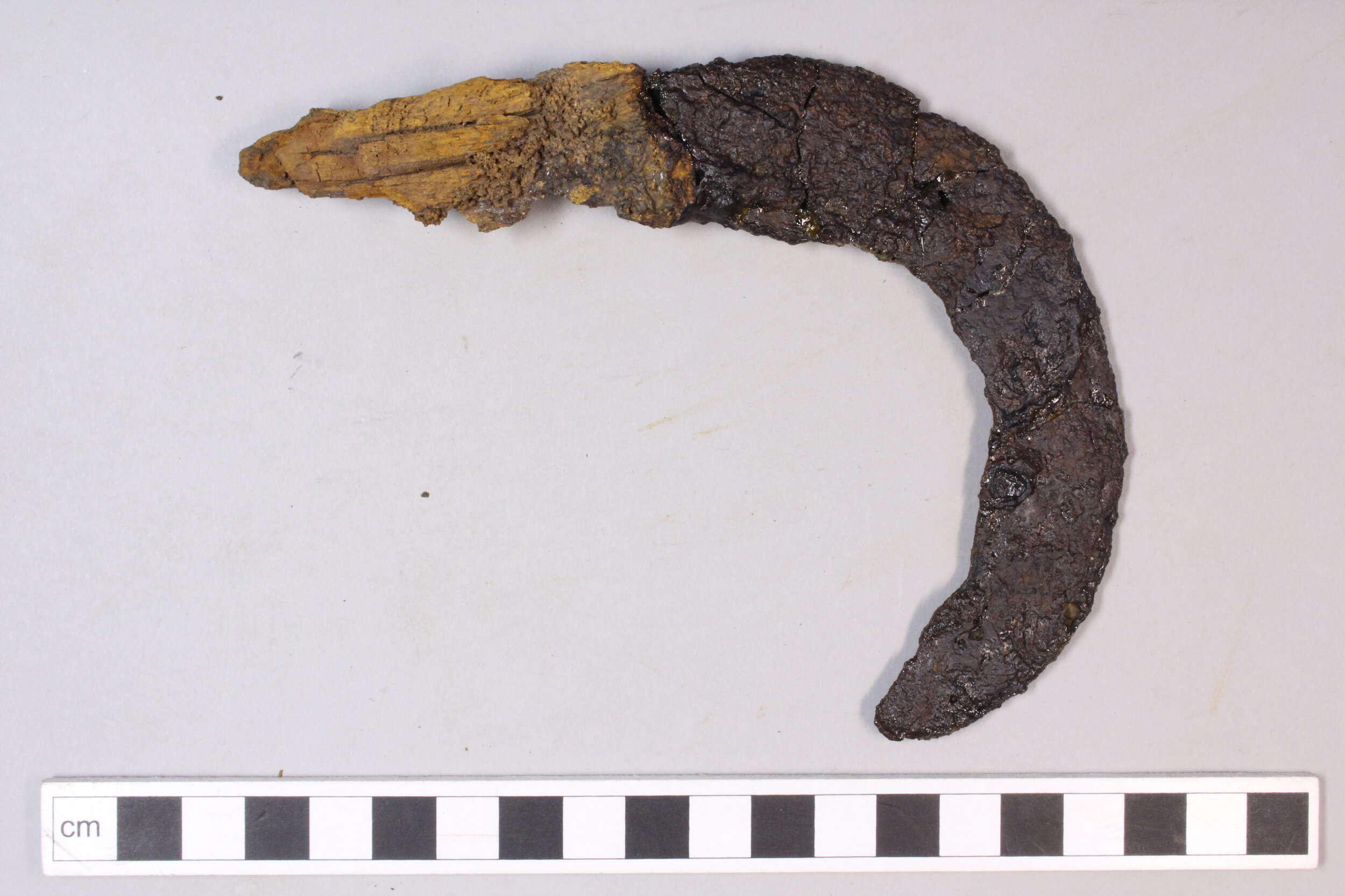   Reaping hook | Image: AOC Archaeology  
