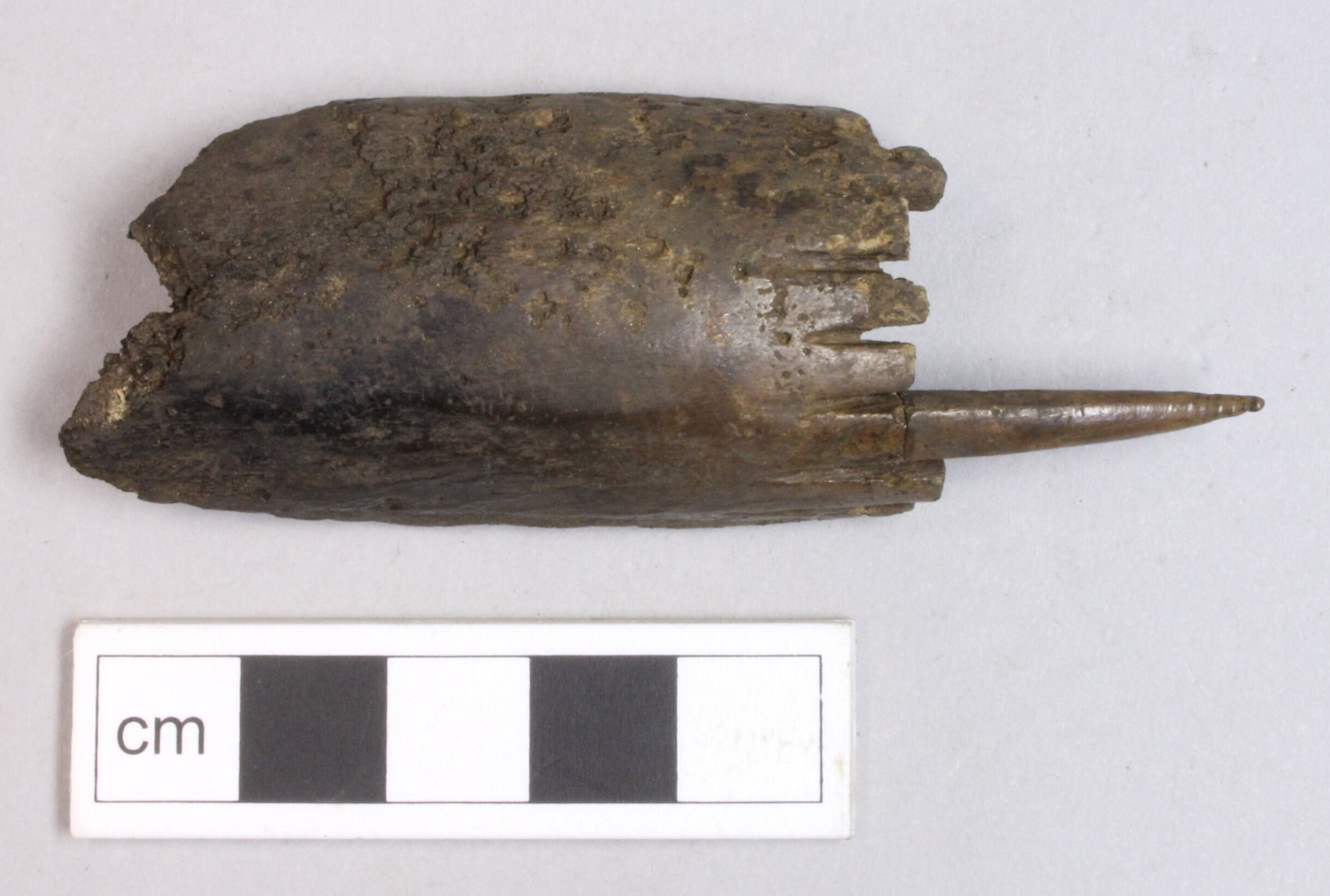   Bone comb | Image: AOC Archaeology  