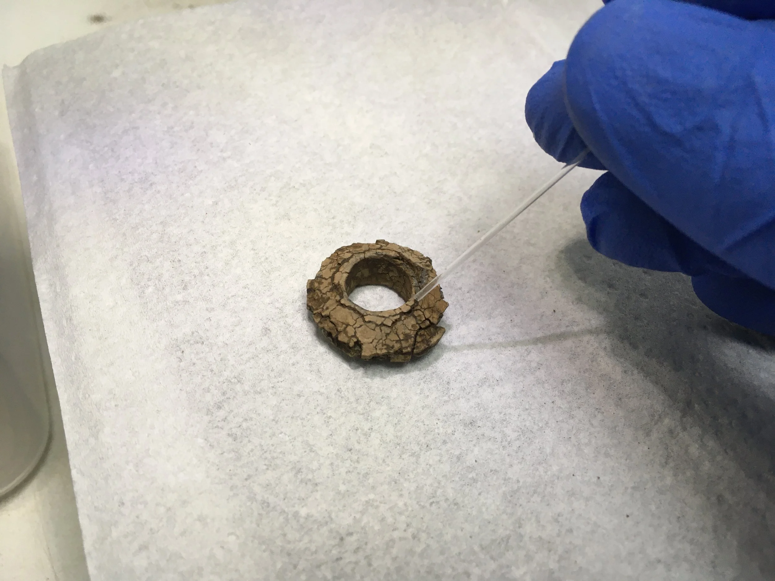 Adhesive is applied carefully using a micropipette