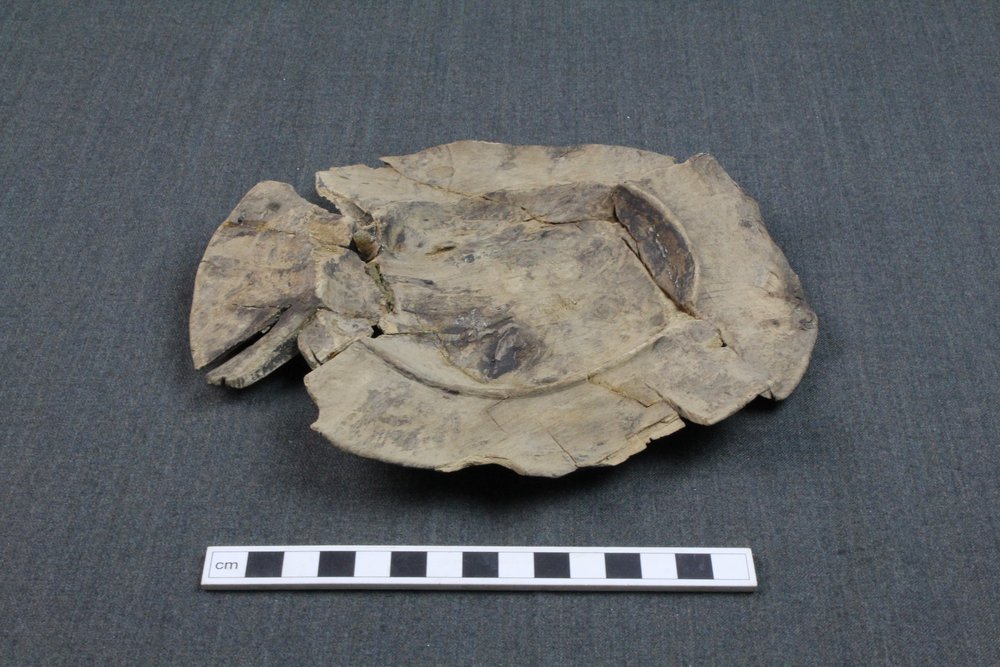 The plate remains rather misshapen after centuries spent underground