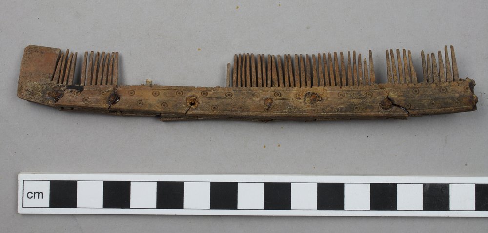 1. One-sided comb before conservation.JPG