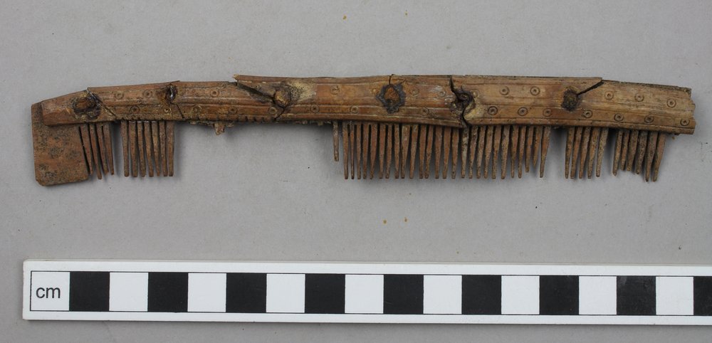 2. One-sided comb before conservation.JPG