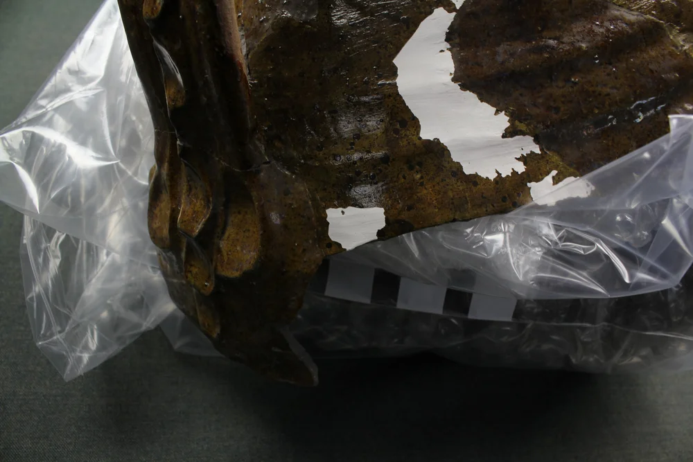 2. The fill with the paint peeling off.JPG