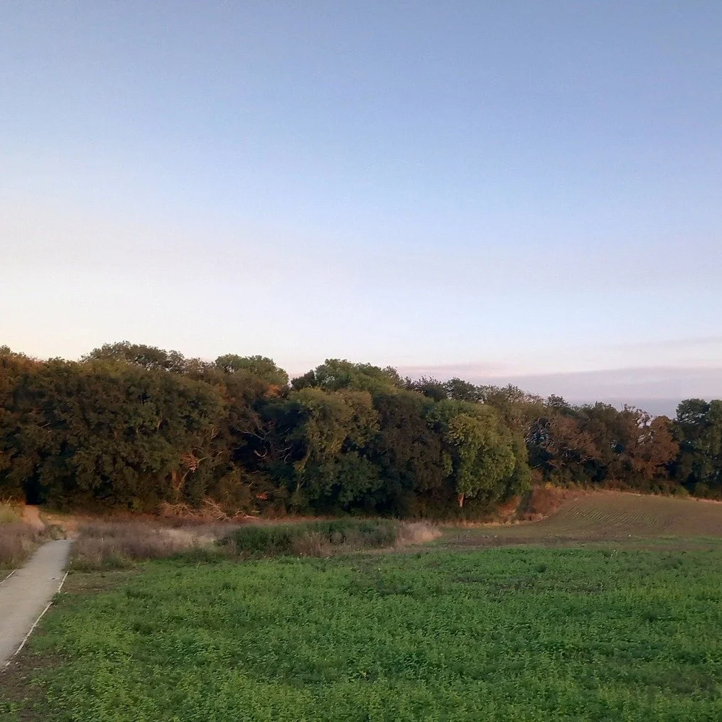 Join the Fun!
This Saturday 6th Sept, we’re heading into Coleman’s Kitchen Wood near Kestrel Park to uncover its hidden history — from charcoal burning to ancient quarrying (maybe!).
10:30–4:00 | All ages welcome
Coleman&rs