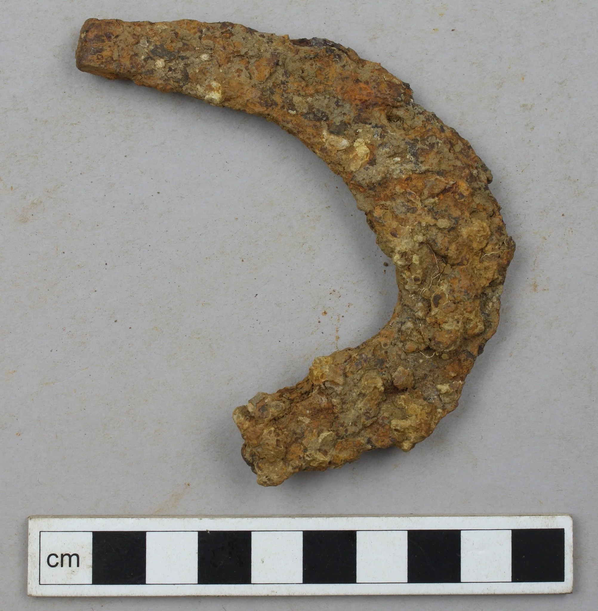 We're back for #FindsFriday
Today we're showcasing one of many horseshoes from our upcoming monograph, dating from the 13th to 15th century!
This horseshoe represents the resurgence of activity in Bicester during the 11th century and the construc