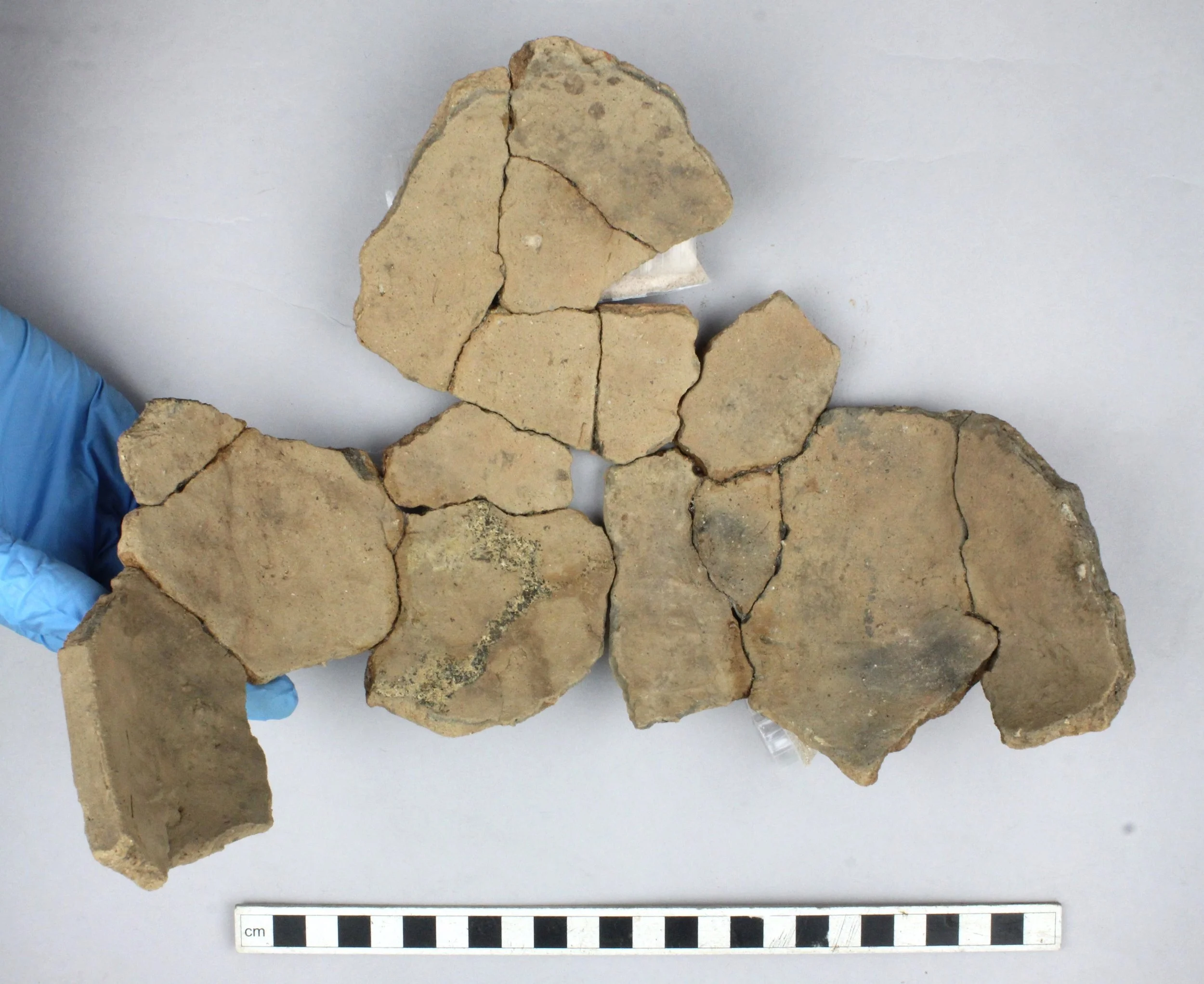 AOC 70272_Vessel 2 profile_PC_01.JPG