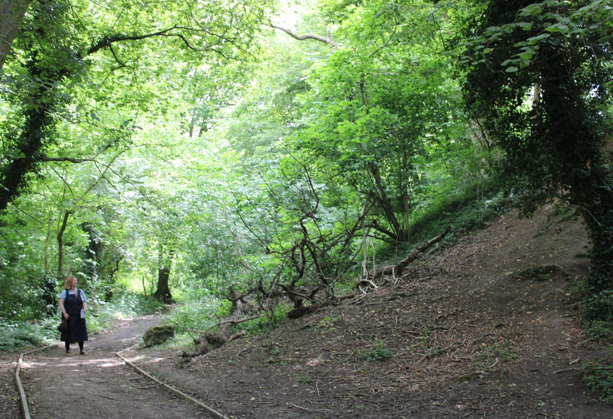 🌳🙌 Thank you, Chilmington Green Volunteers! 🙌🌳
You braved the mud, the brambles, and the mysteries of Coleman’s Kitchen Wood to help us survey this amazing site — and we couldn’t have done it without you!
From mapping earthwo