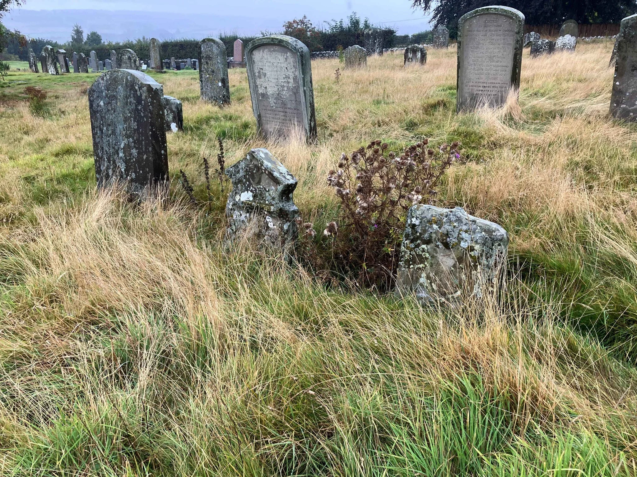 Join us October 10-11 at 9:30 AM for the Birgham Cemetery Survey - Uncovering the Tweed!
Help us uncover the history of Tweed and make a difference in our community. Link to our ticket host (Eventbrite) for more details and to get tickets.
https:/