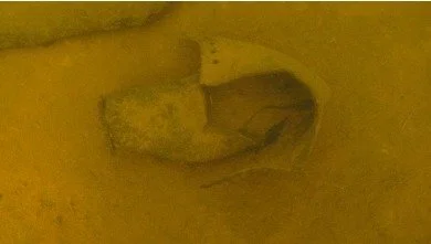 Let’s dig deep (literally):
What’s the oddest / eeriest thing you’ve uncovered on site?
Animal bone in unexpected soil? Buried metalwork in a hush of earth? A trench that just felt off to work in? Maybe something you couldn't iden