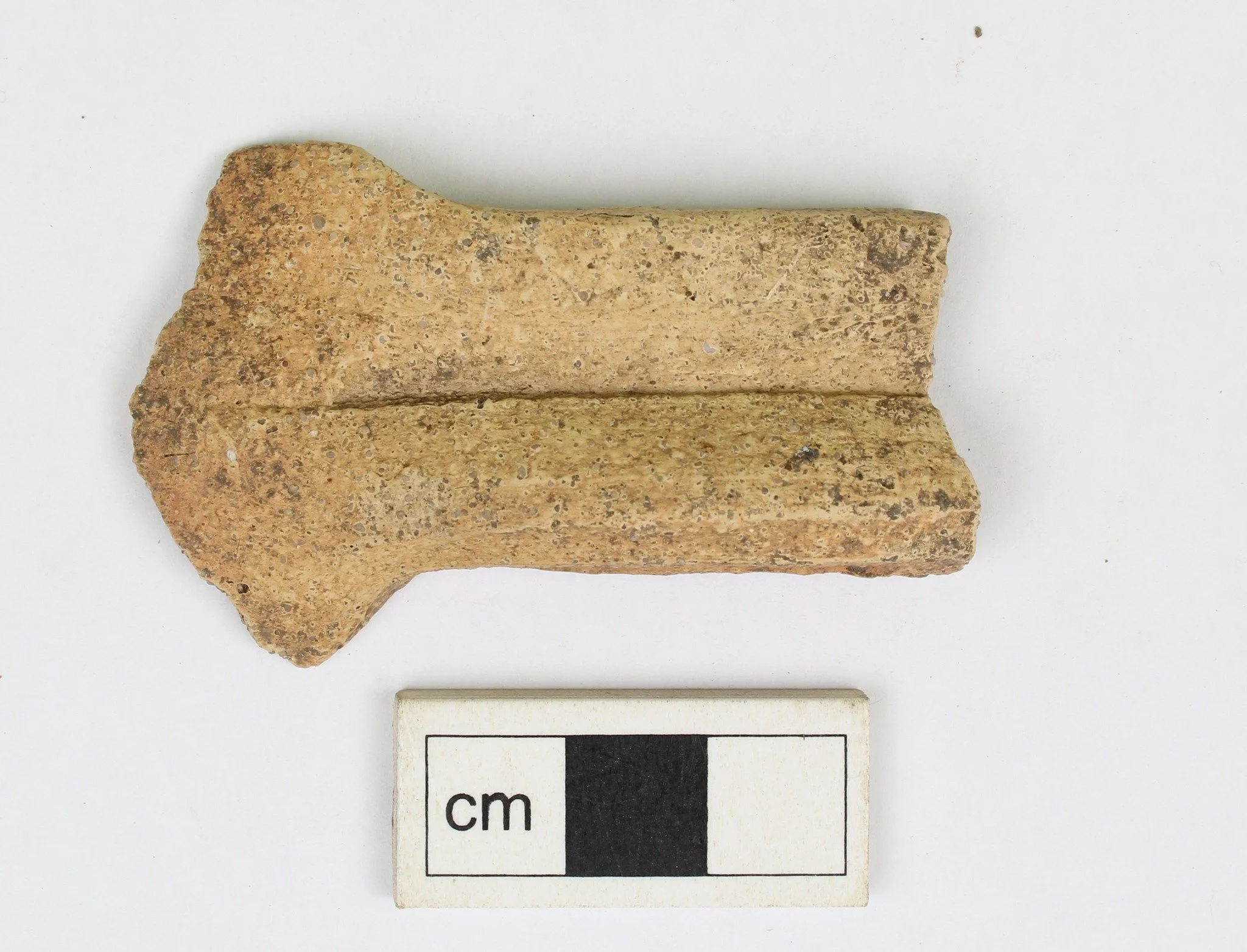 The King&rsquo;s Seat fort sits on a prominent hilltop above the River Tay at Dunkeld. Until recently, we knew very little about the site. Volunteers worked alongside AOC and @perthandkinrossheritagetrust, in partnership with Dunkeld and Birnam Histo