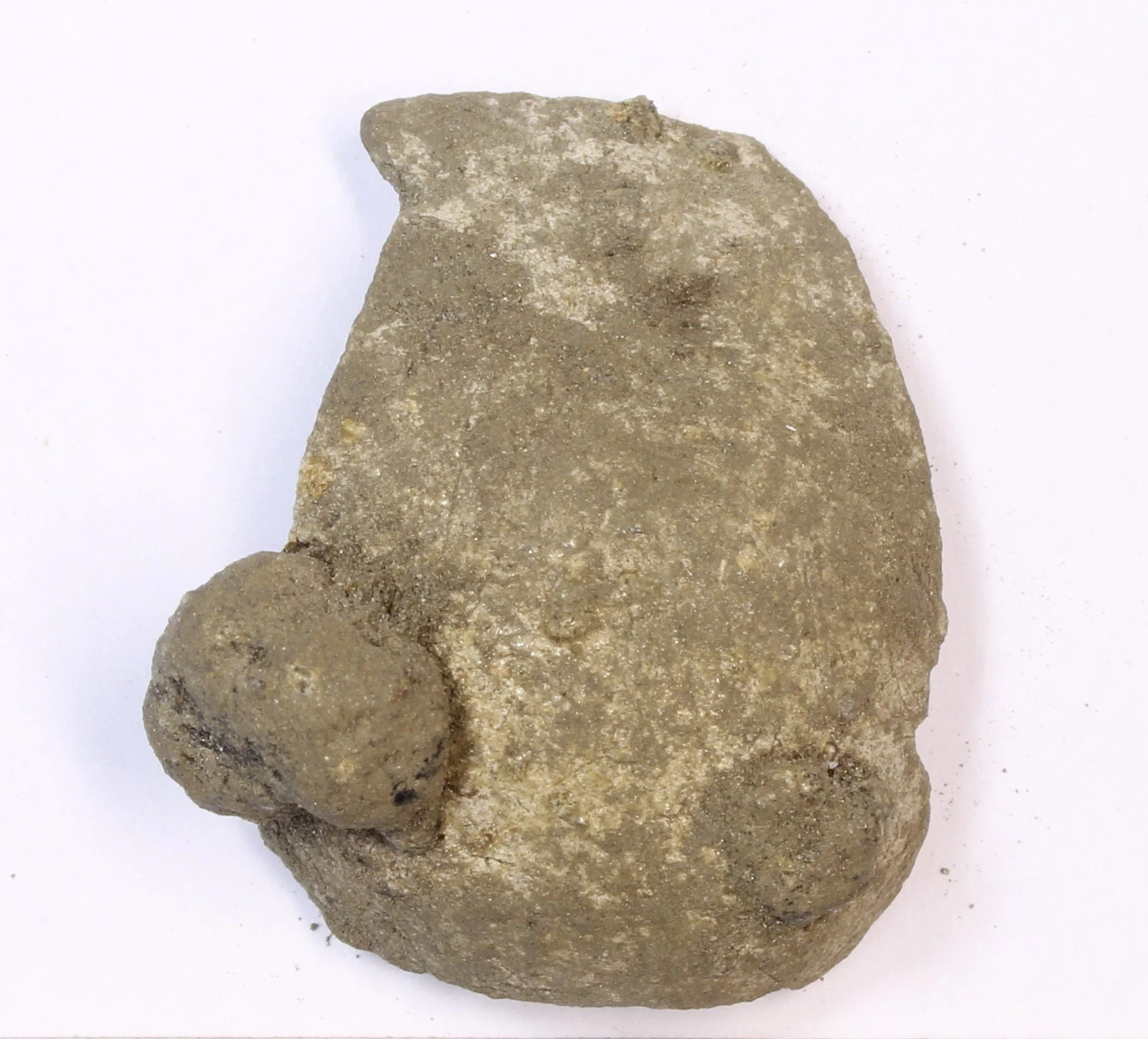 The King&rsquo;s Seat fort sits on a prominent hilltop above the River Tay at Dunkeld. Until recently, we knew very little about the site. Volunteers worked alongside AOC and @perthandkinrossheritagetrust, in partnership with Dunkeld and Birnam Histo