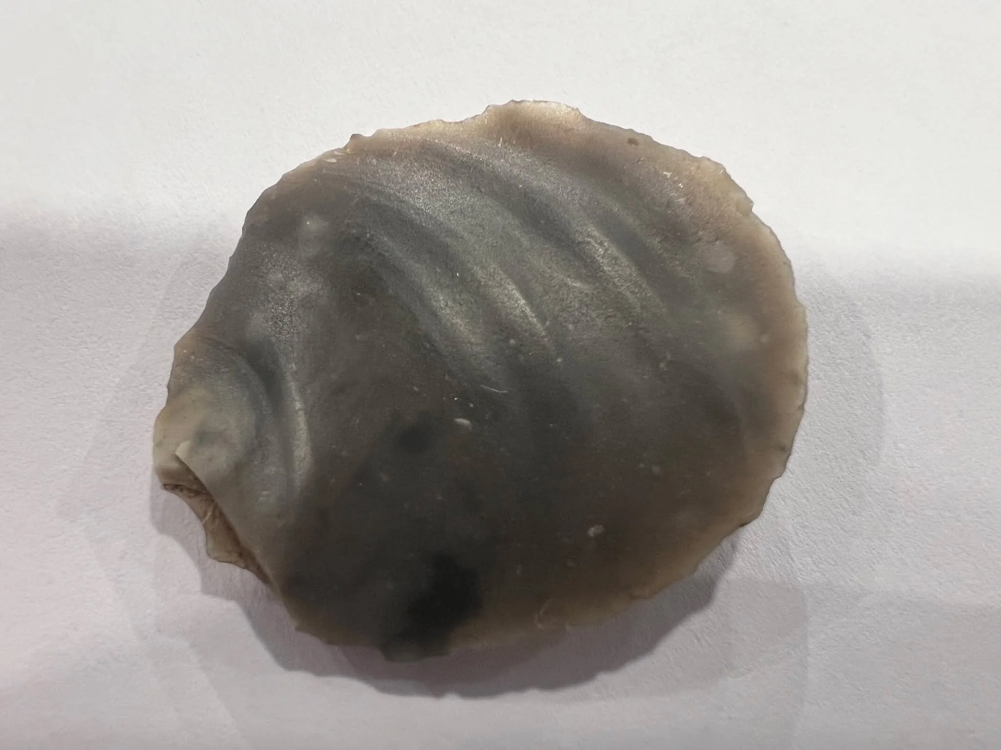 Uncovering the Tweed, as part of @destinationtweeduk undertook a workshop at Biggar Museum with participants cataloguing finds from one of the Biggar Archaeology Group excavation and fieldwalking sites on the Biggar Water. The majority of the diagnos