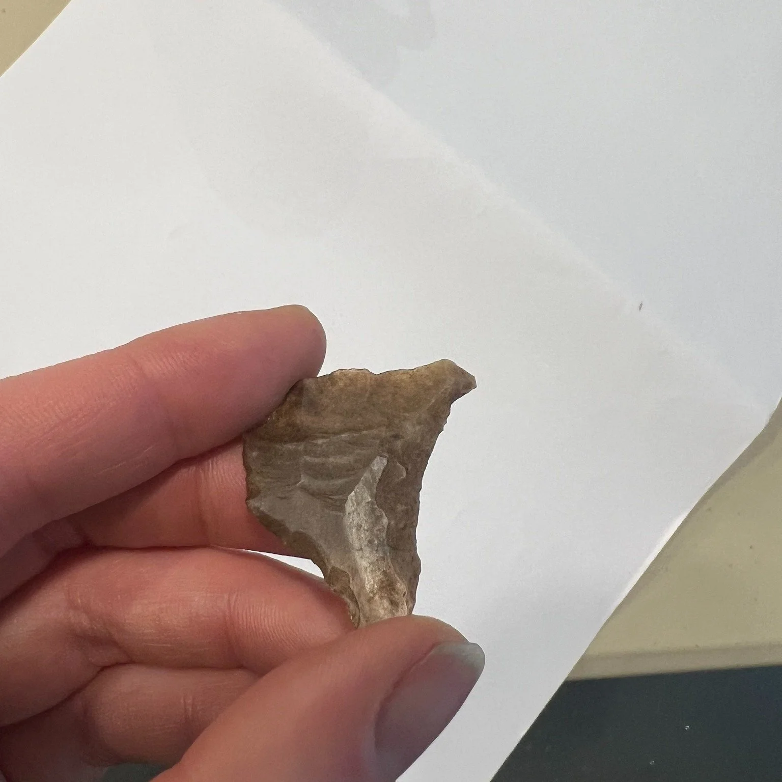 Uncovering the Tweed, as part of @destinationtweeduk  undertook a workshop at Biggar Museum with participants cataloguing finds from one of the Biggar Archaeology Group excavation and fieldwalking sites on the Biggar Water. The majority of the diagno