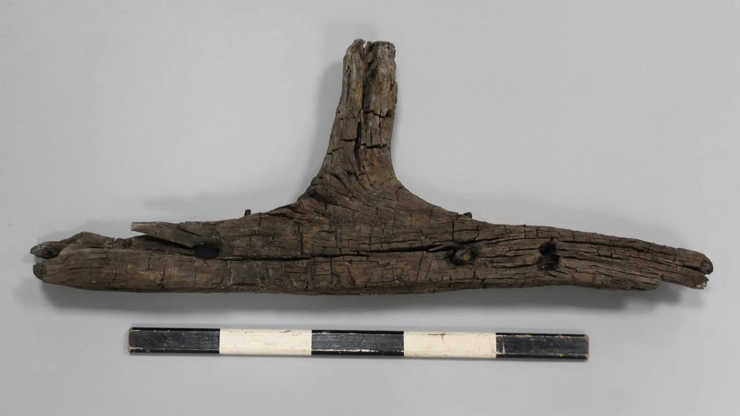 An Upright Thole, Already Old-fashioned — AOC Archaeology Group