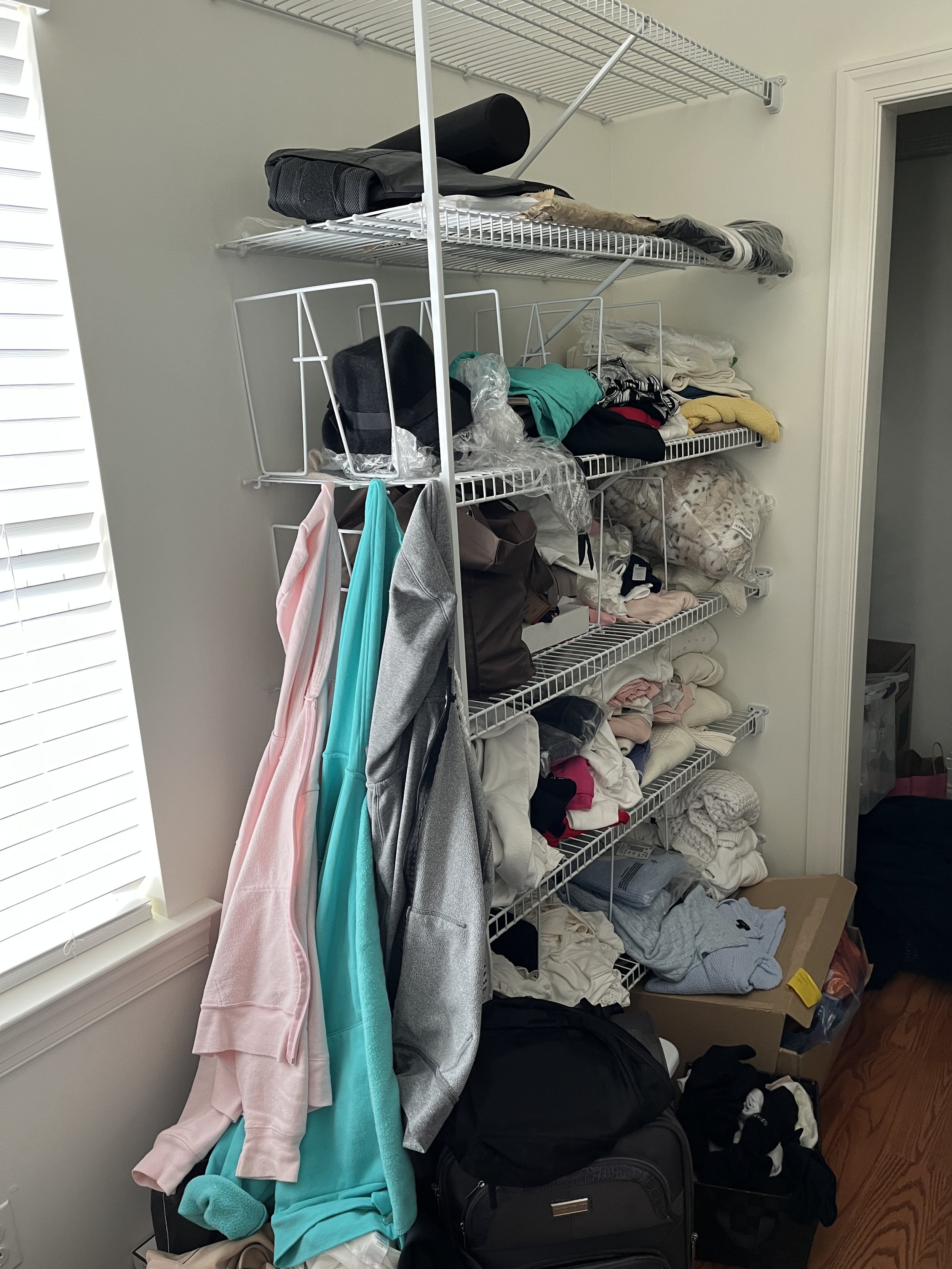 Emiliani BR Closet Right - BEFORE.JPG