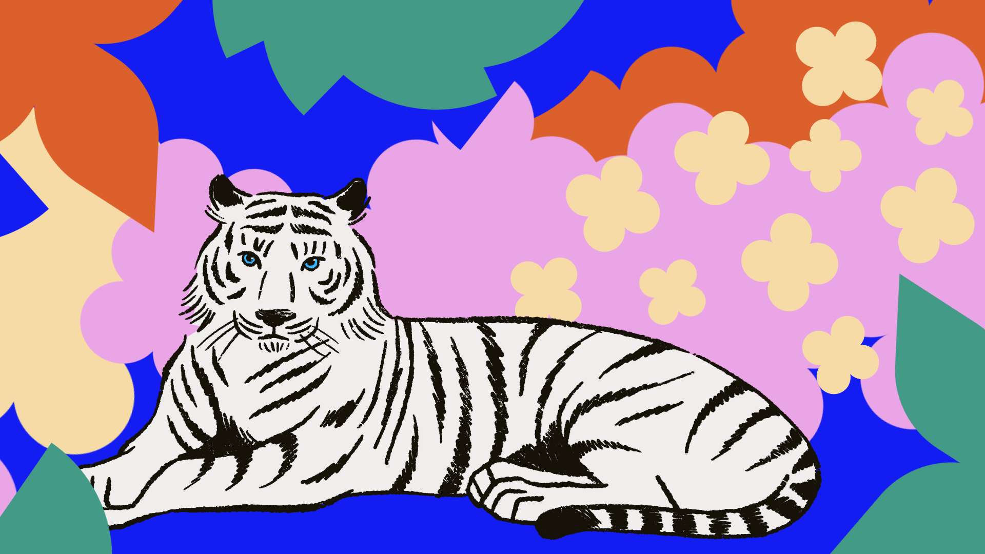 Meet Aurora the Tiger — Wintersession