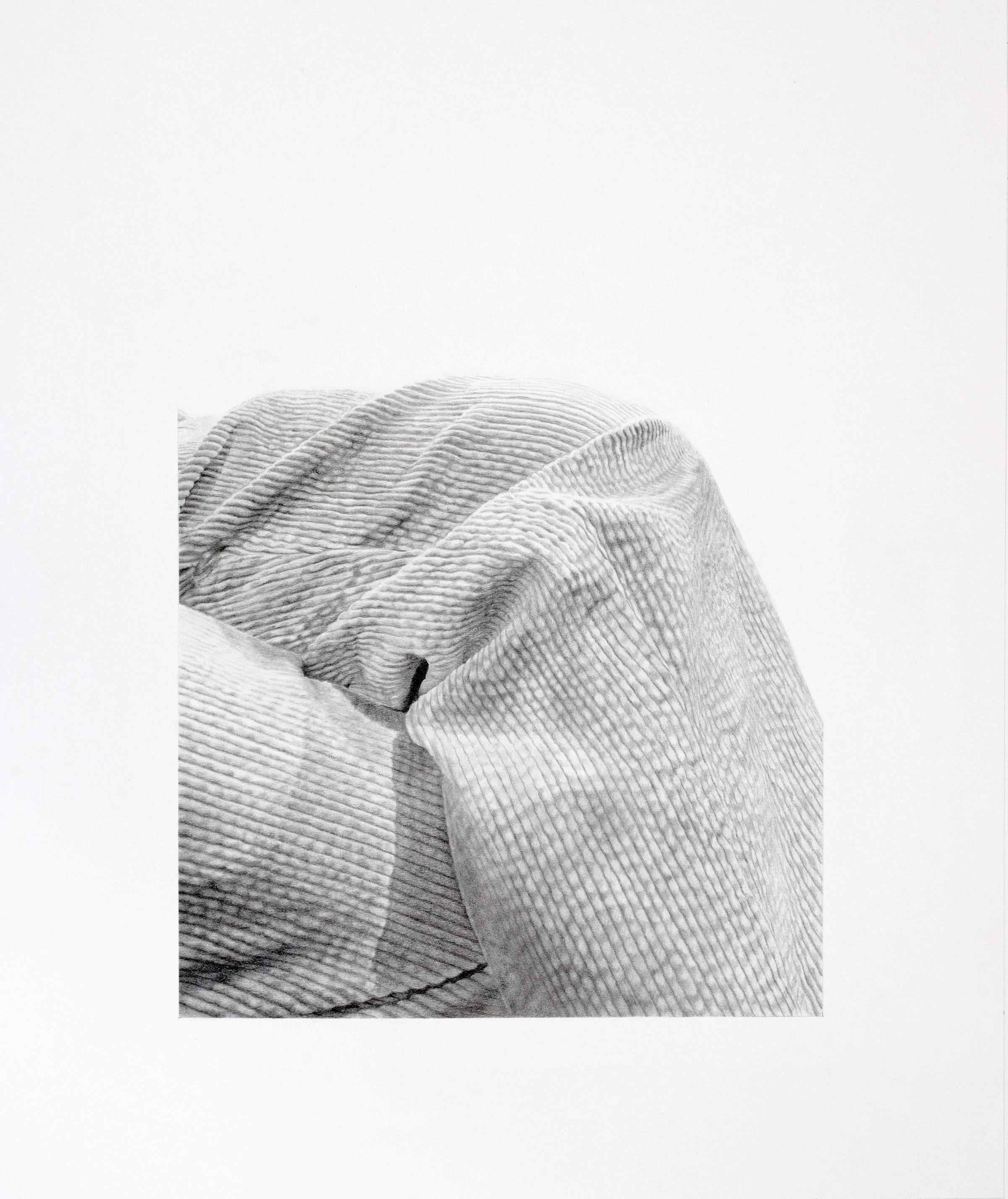 Ginocchia In Velluto