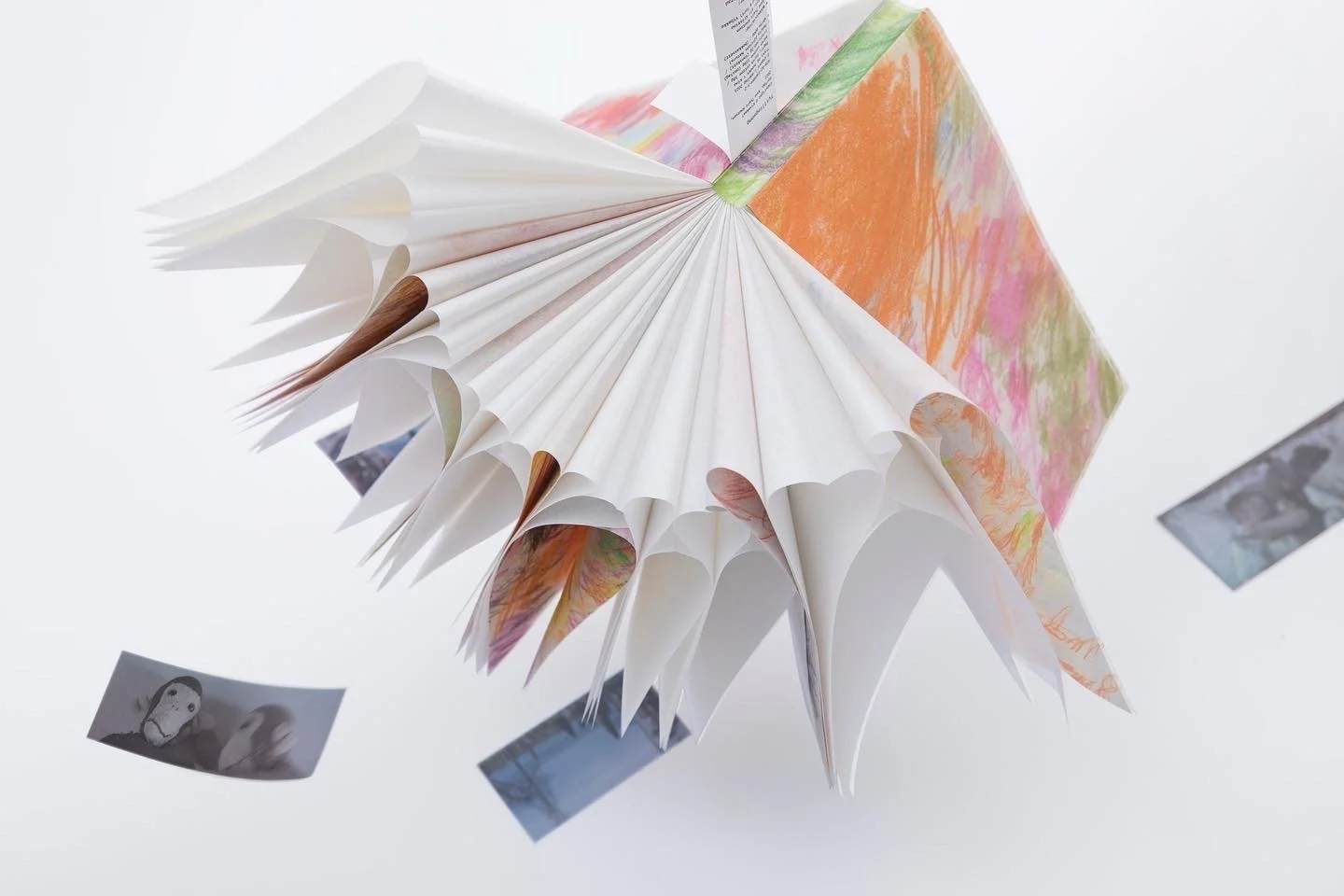  Foto: Kinakaal forlag 