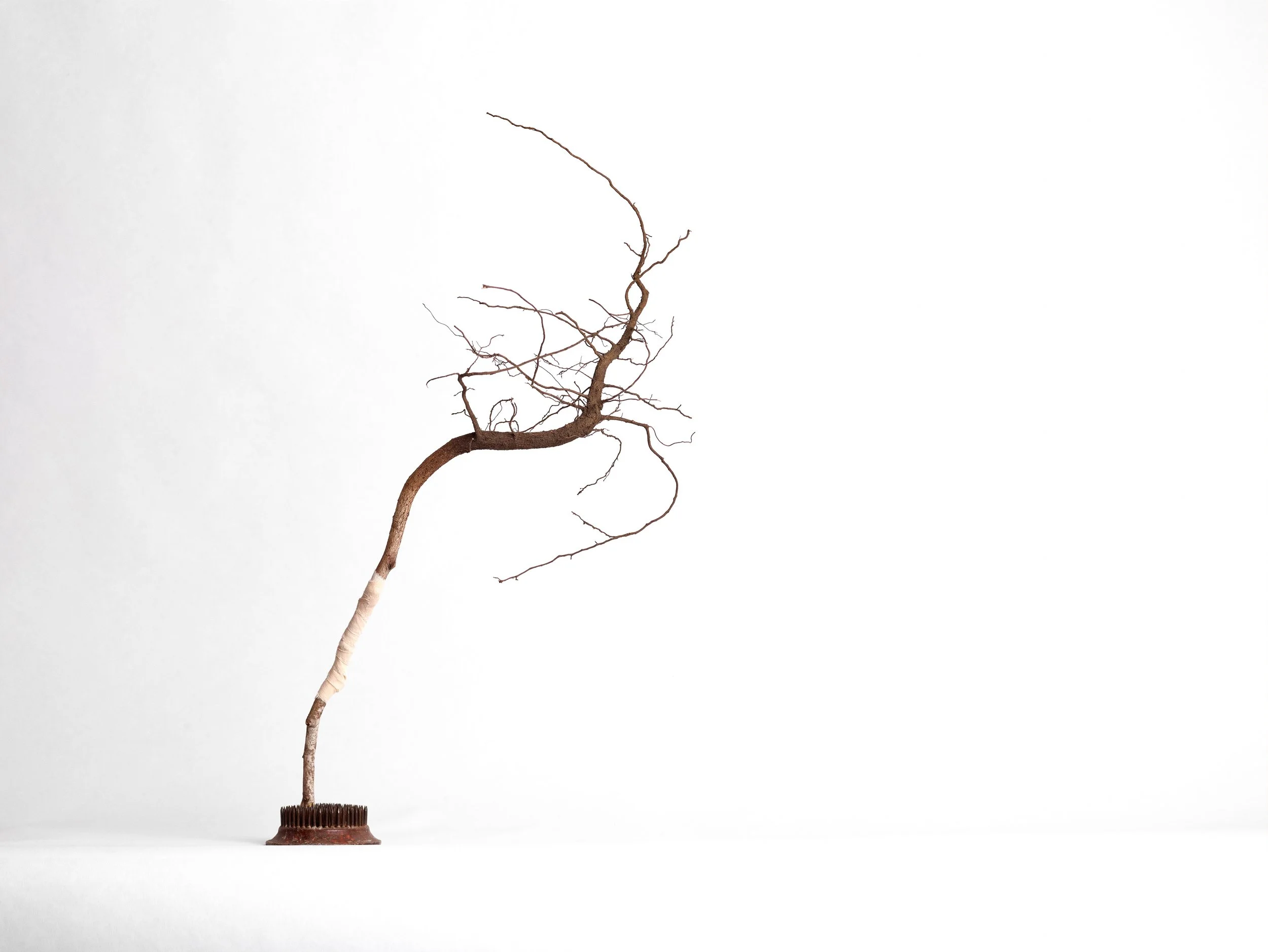   Den ene   Rot , rabarbrafarget bomullstekstil, fakir.  Foto: Helge Hansen 