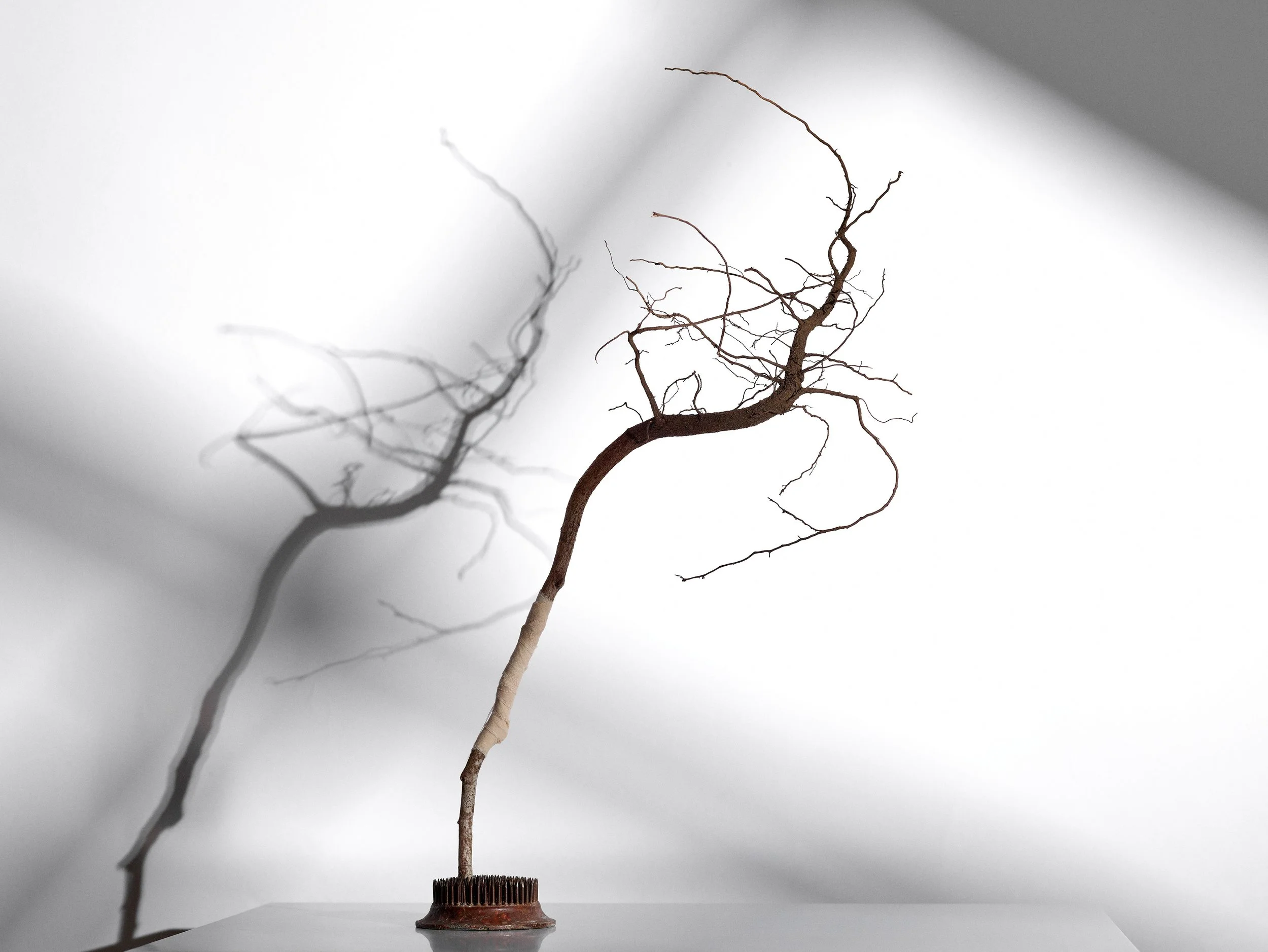  Den ene, skyggedetaljer.  Rot, rabarbrafarget bomullstekstil, fakir.  Foto: Helge Hansen 