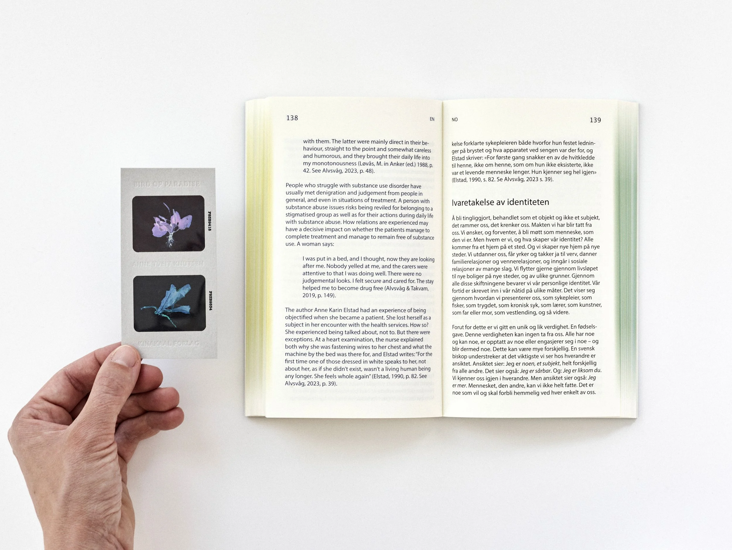 anne_knutsen_43475 1 kopi.jpg