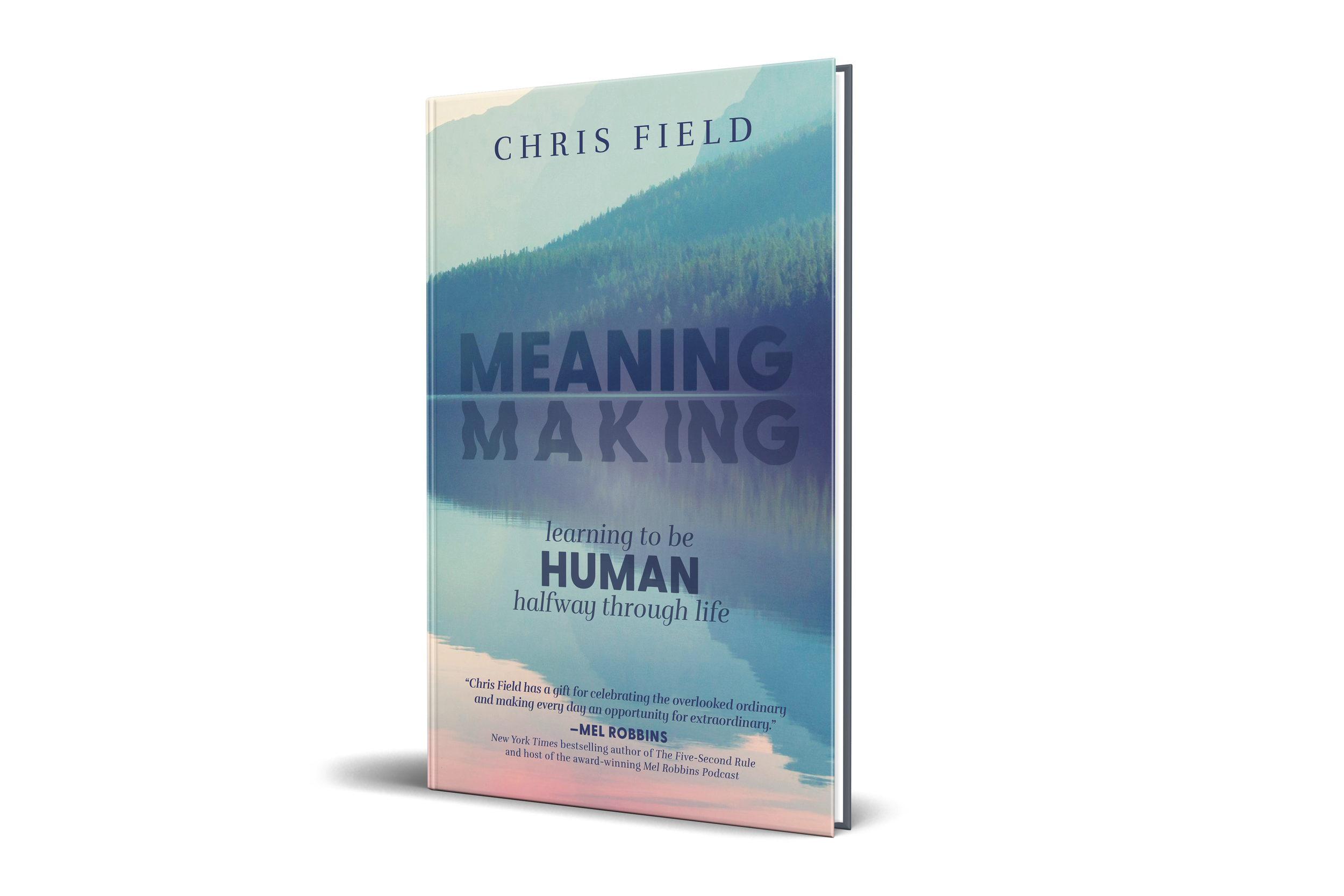 MeaningMaking_Cover_Mock-Up.png