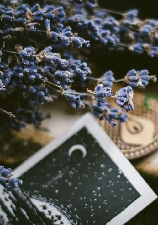 Willst du mein Buch-Pate werden und ein Herzensprojekt mit deiner Unterstützung entstehen lassen?