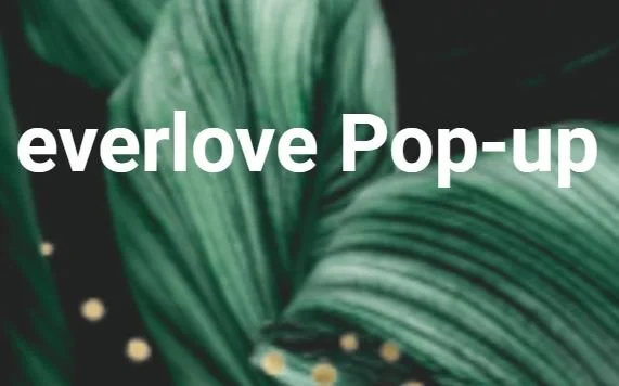 everlove Pop Up Store