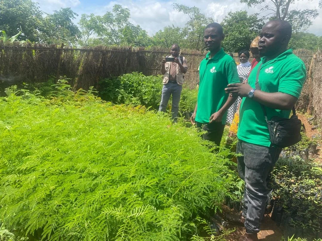 January is busy for our environment team