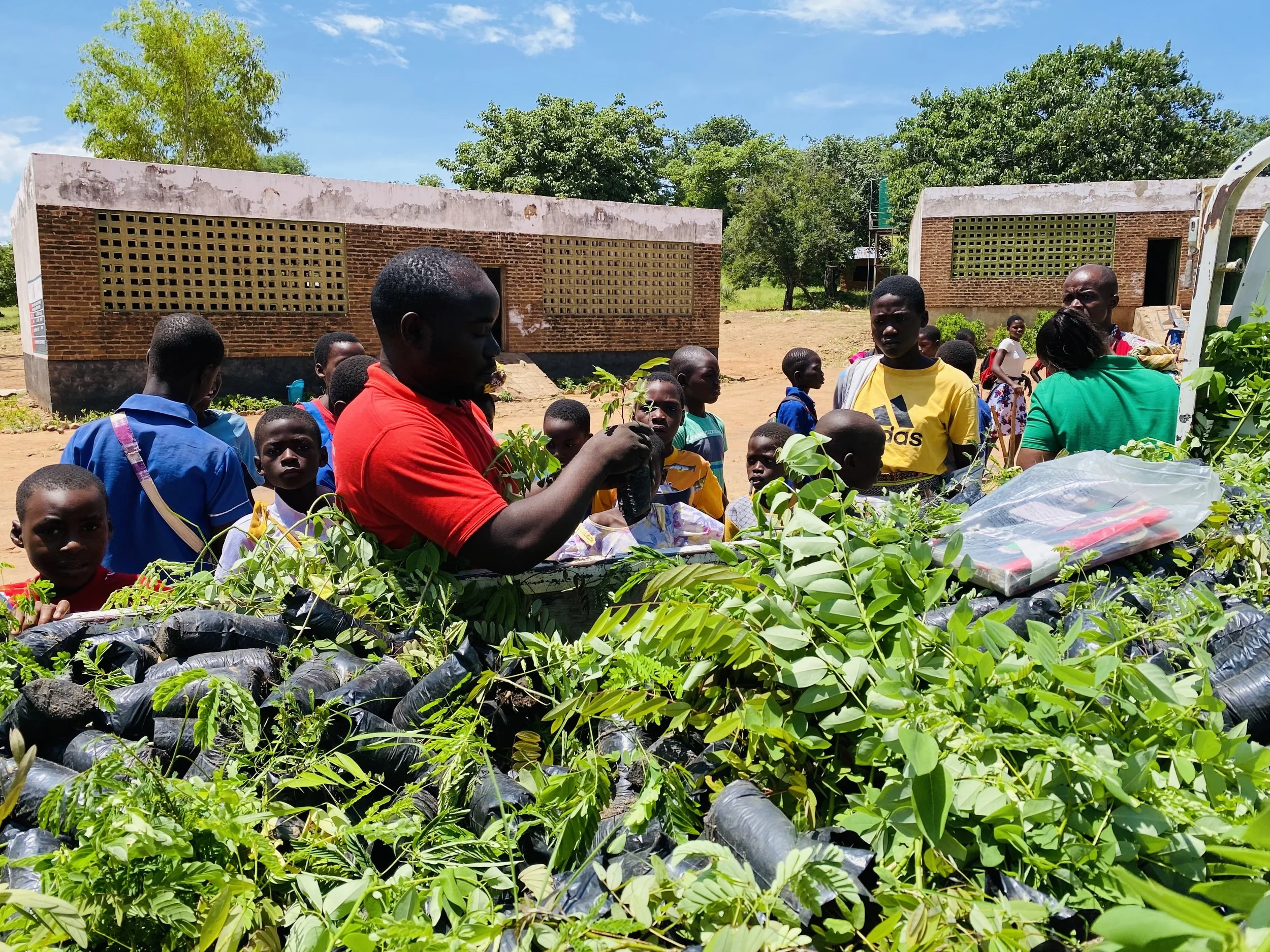 End of year review and a look at the future