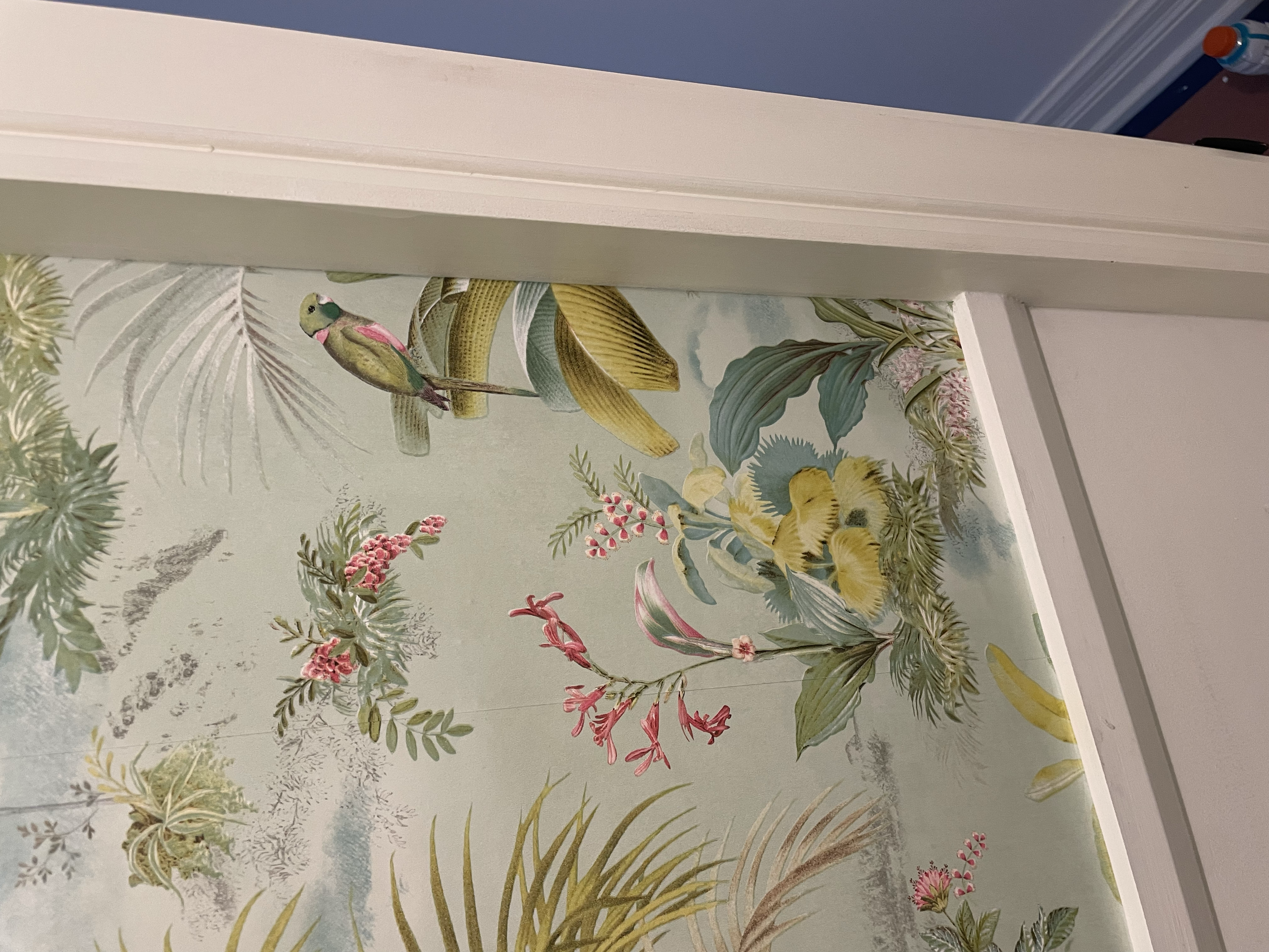 A decorative wallpaper or mural featuring tropical plants, flowers, and a bird sitting on a branch. Interior House Painting. Heather Feather Painting and Design. Toronto. Wallpaper
