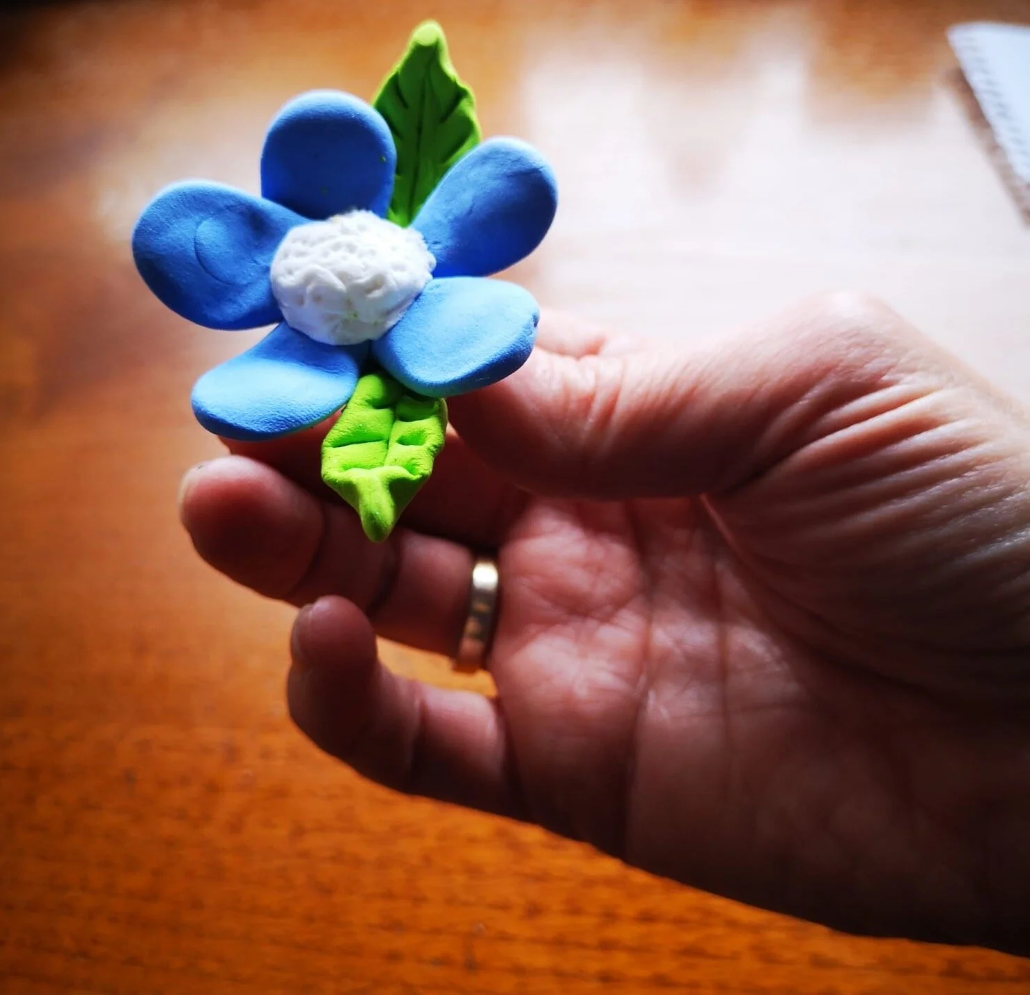 Relato de las mañanas de COMPANION