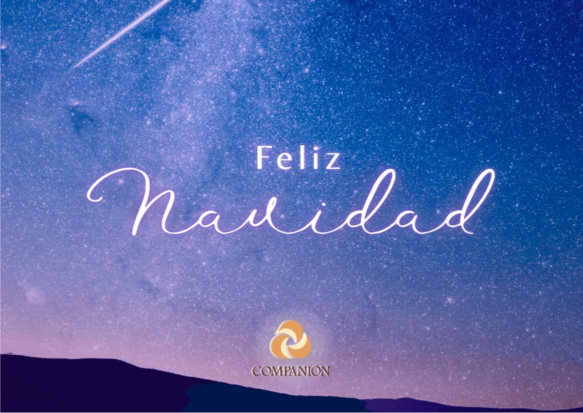¡Feliz Navidad 2022!