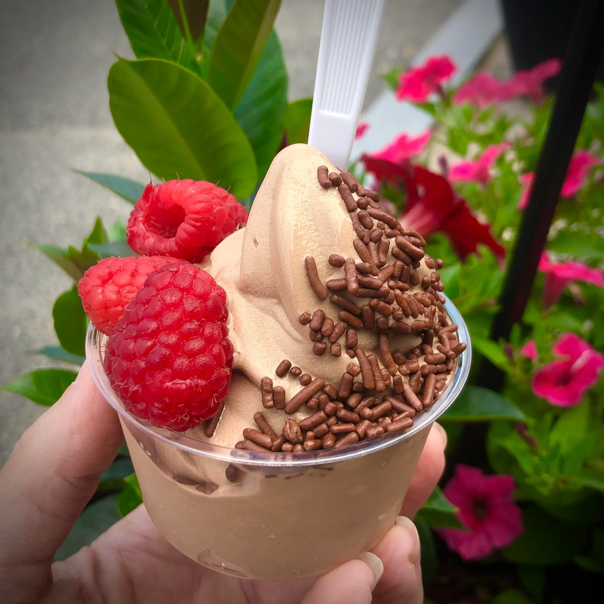 GoBerry 'n Cream