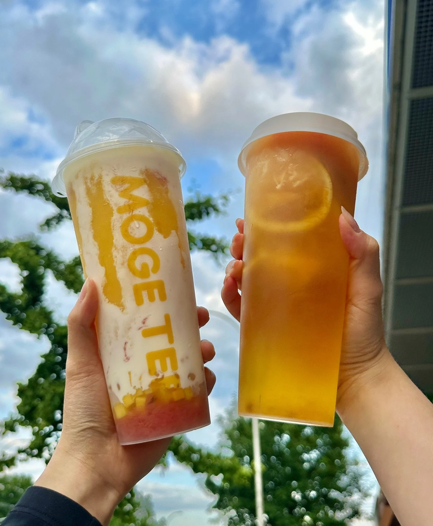 Möge Tee