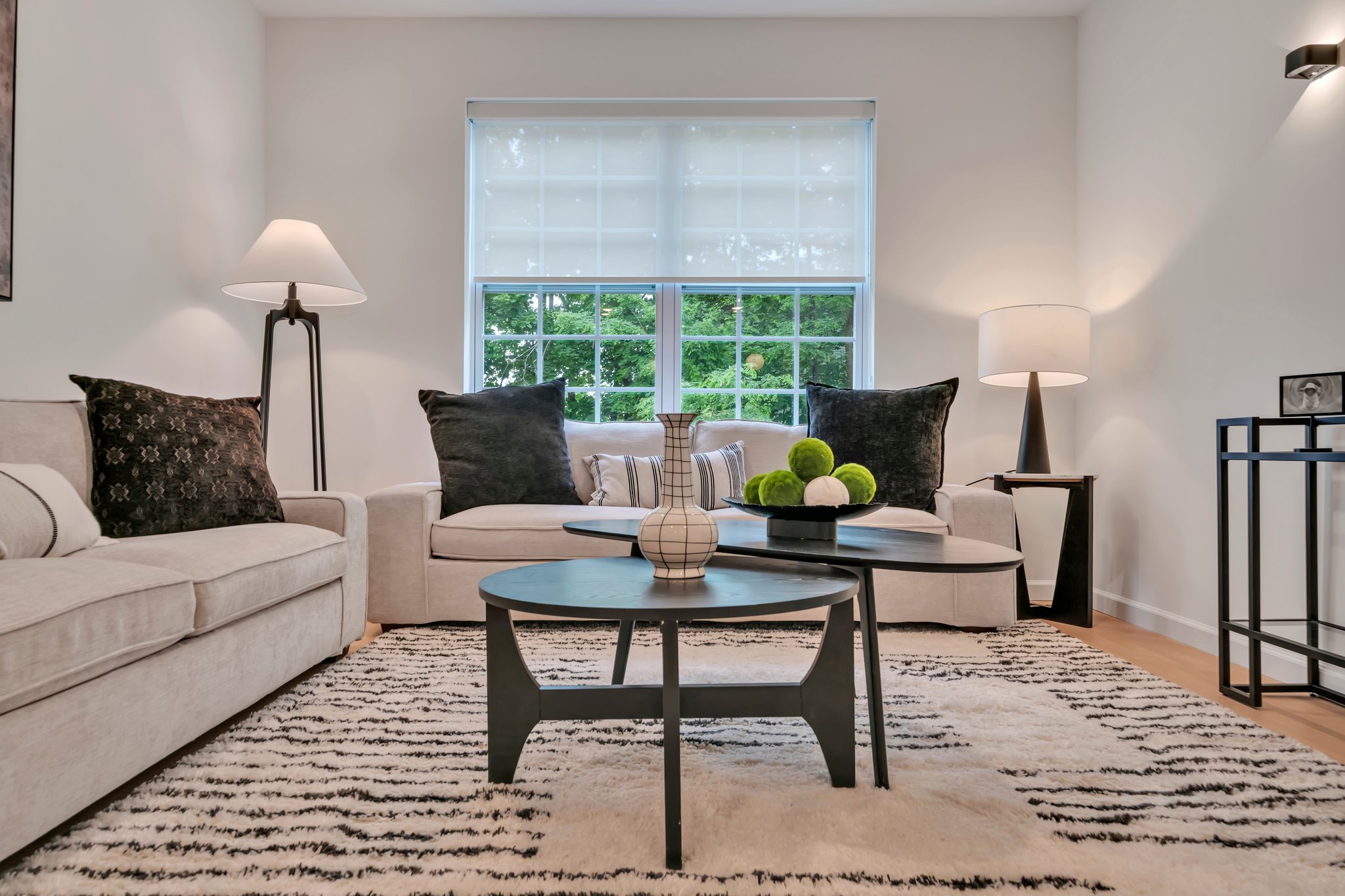 Afeeto-Cannon-House-Morristown-NJ-UD-Living-5.jpg