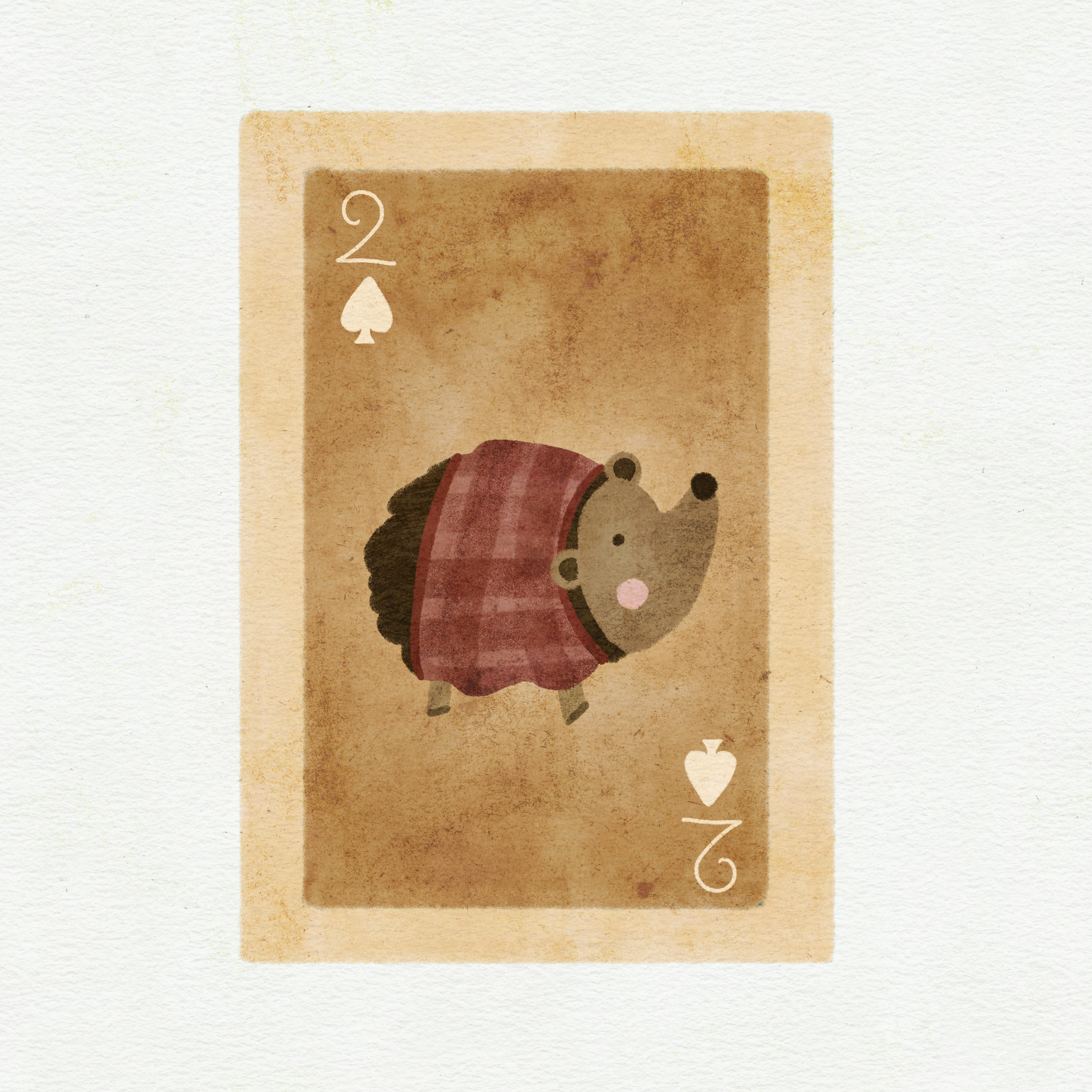 Old_Notebook_Canvas_-_Std 1.png