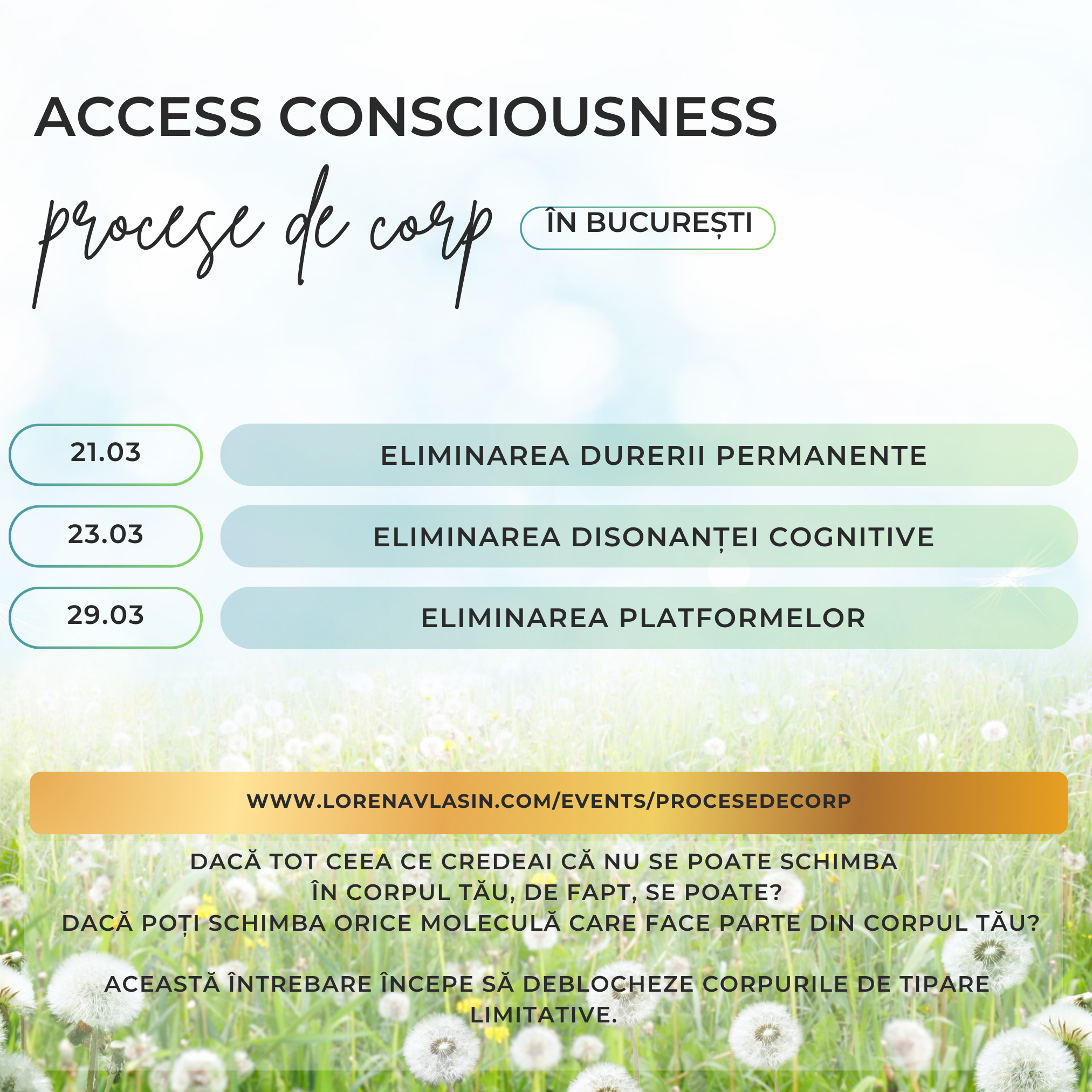 Clase Procese de corp în București