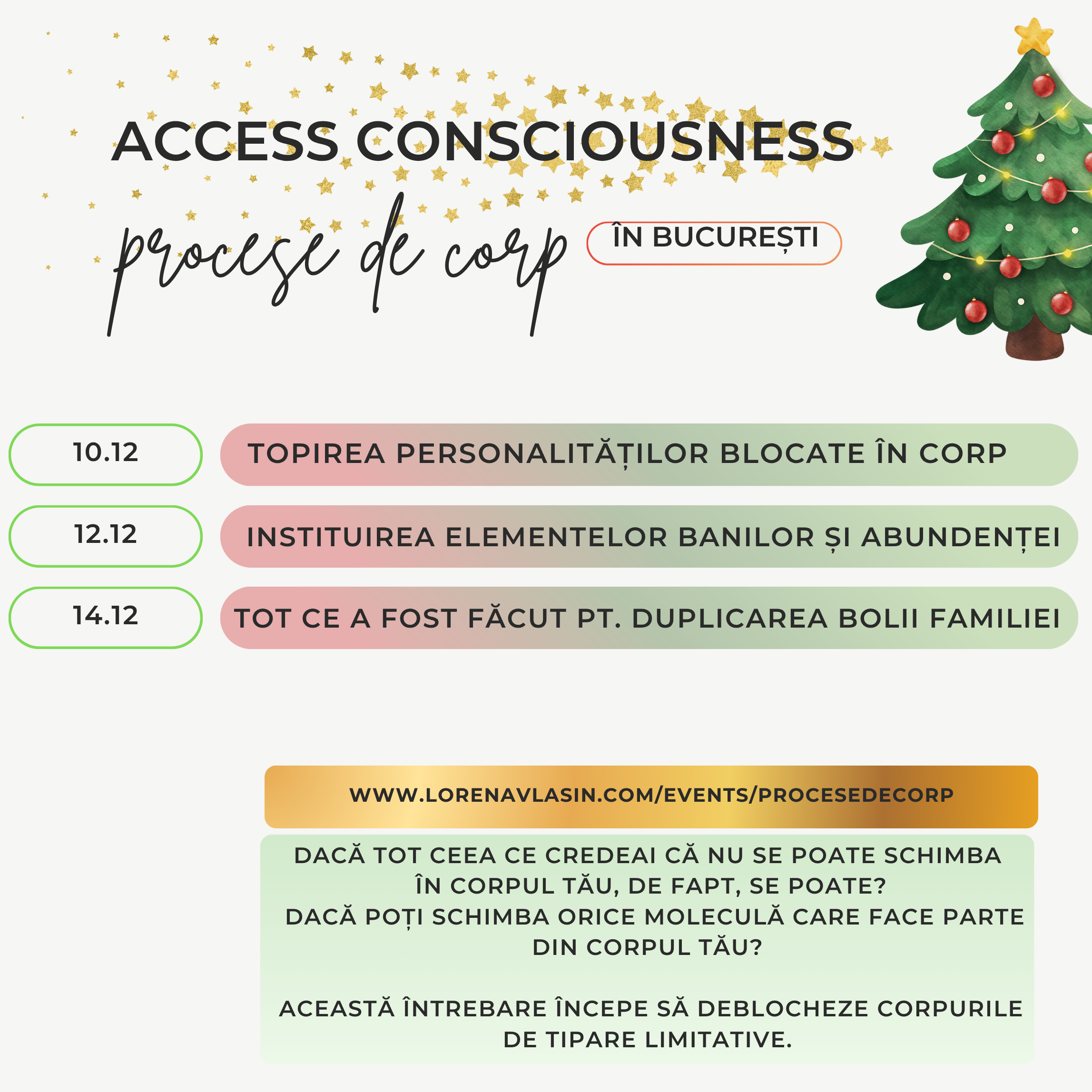 procese sq updated 2025.png