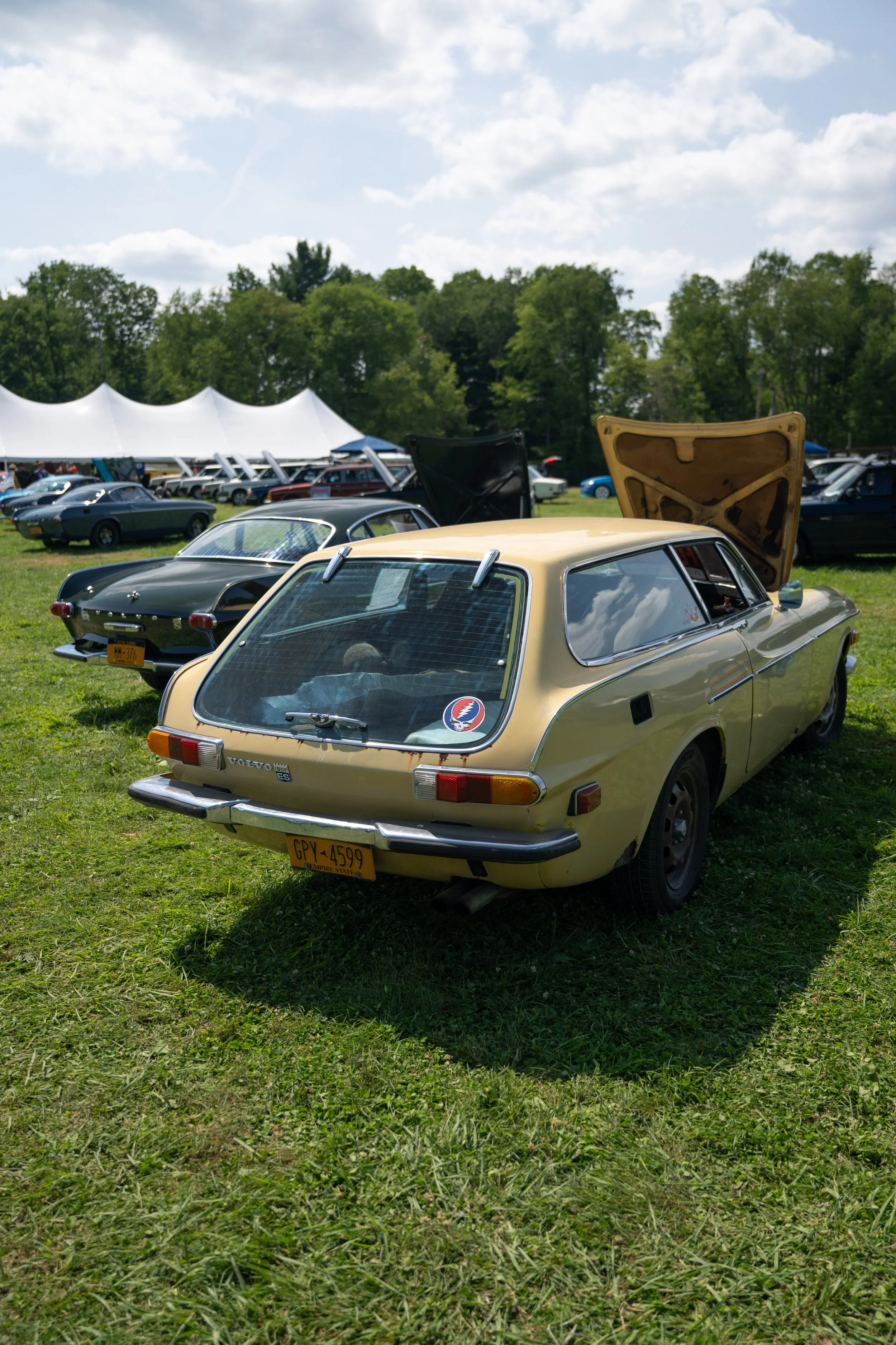 DSC_9738.jpg