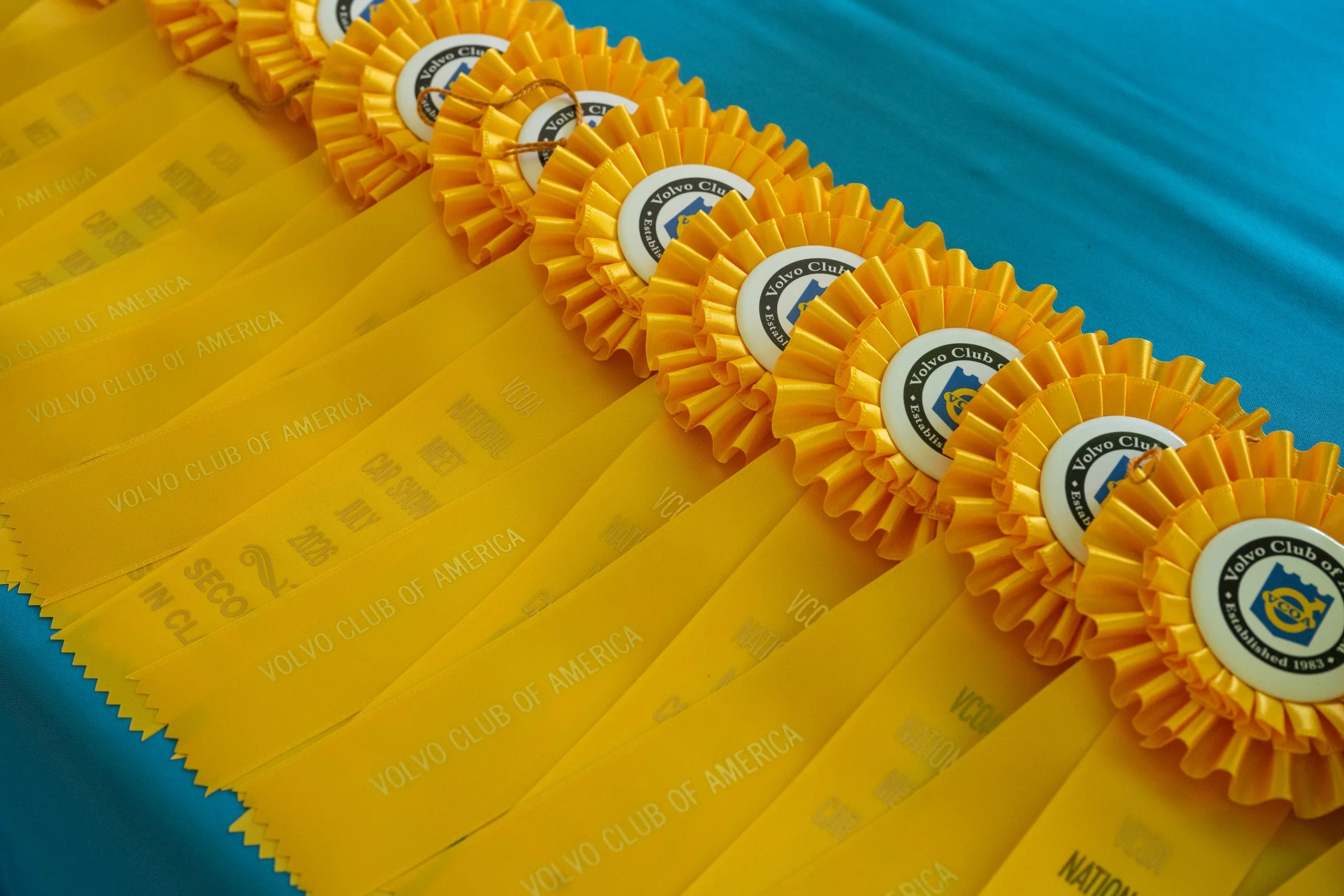 DSC_9723.jpg