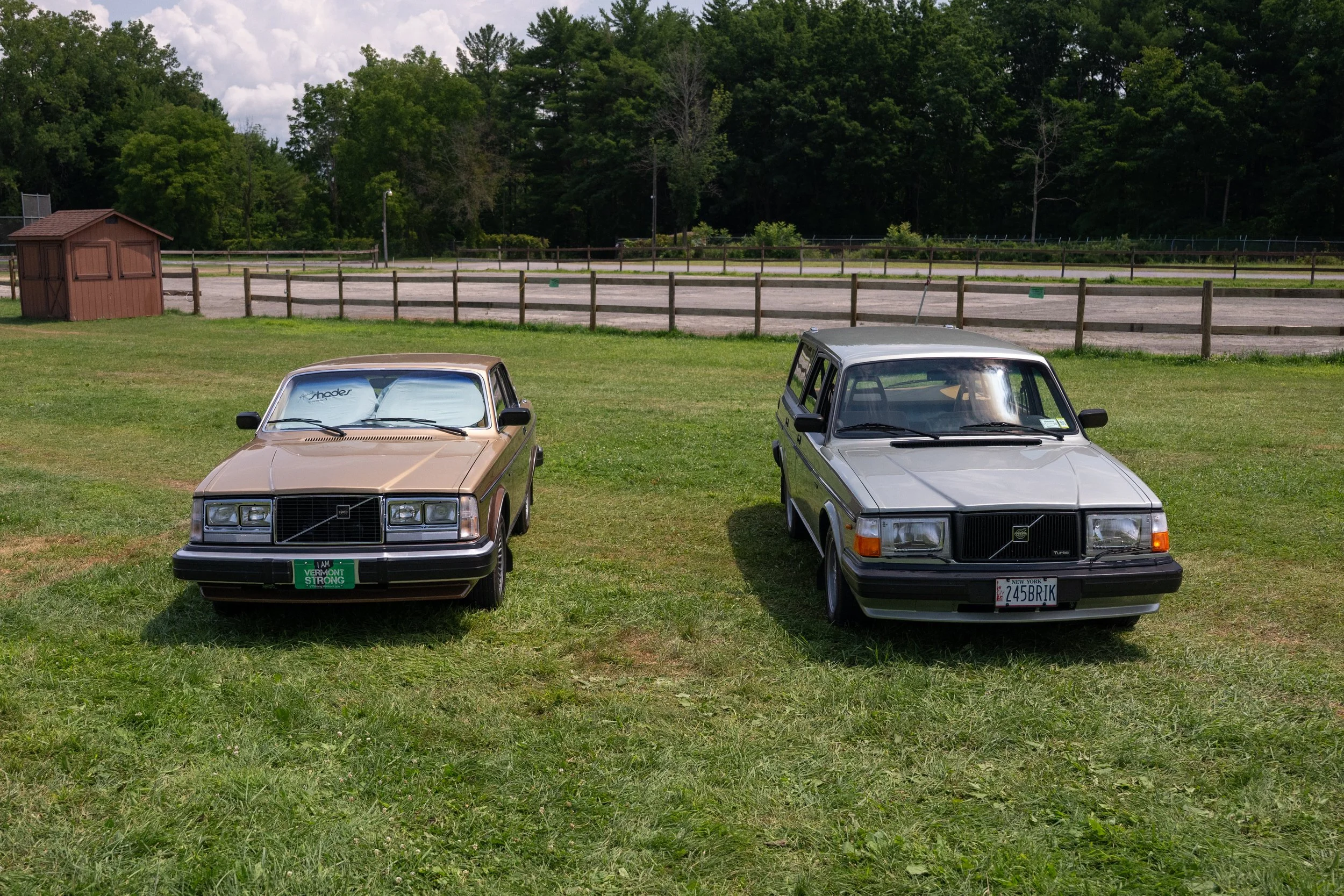 DSC_9801.jpg