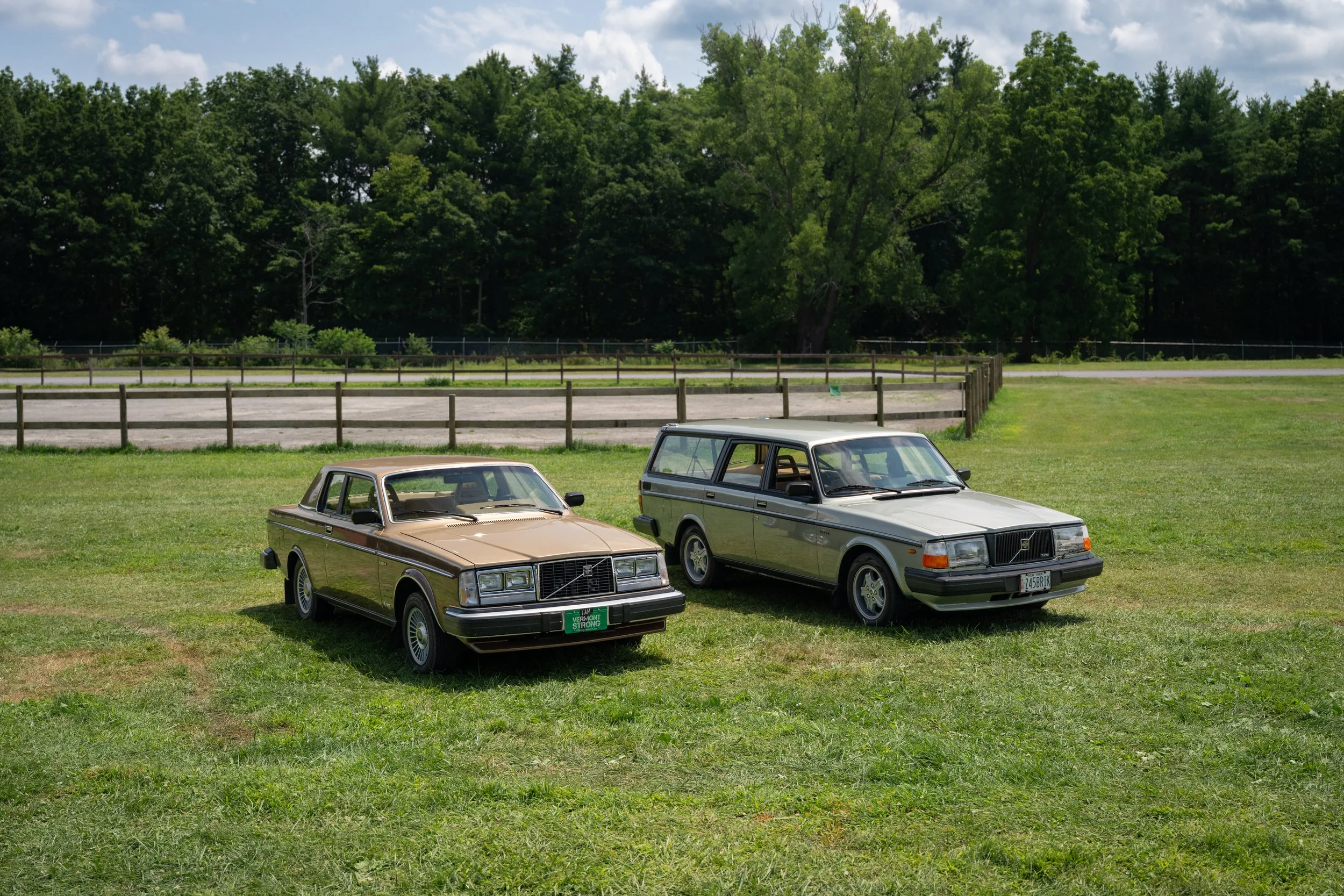 DSC_9804.jpg