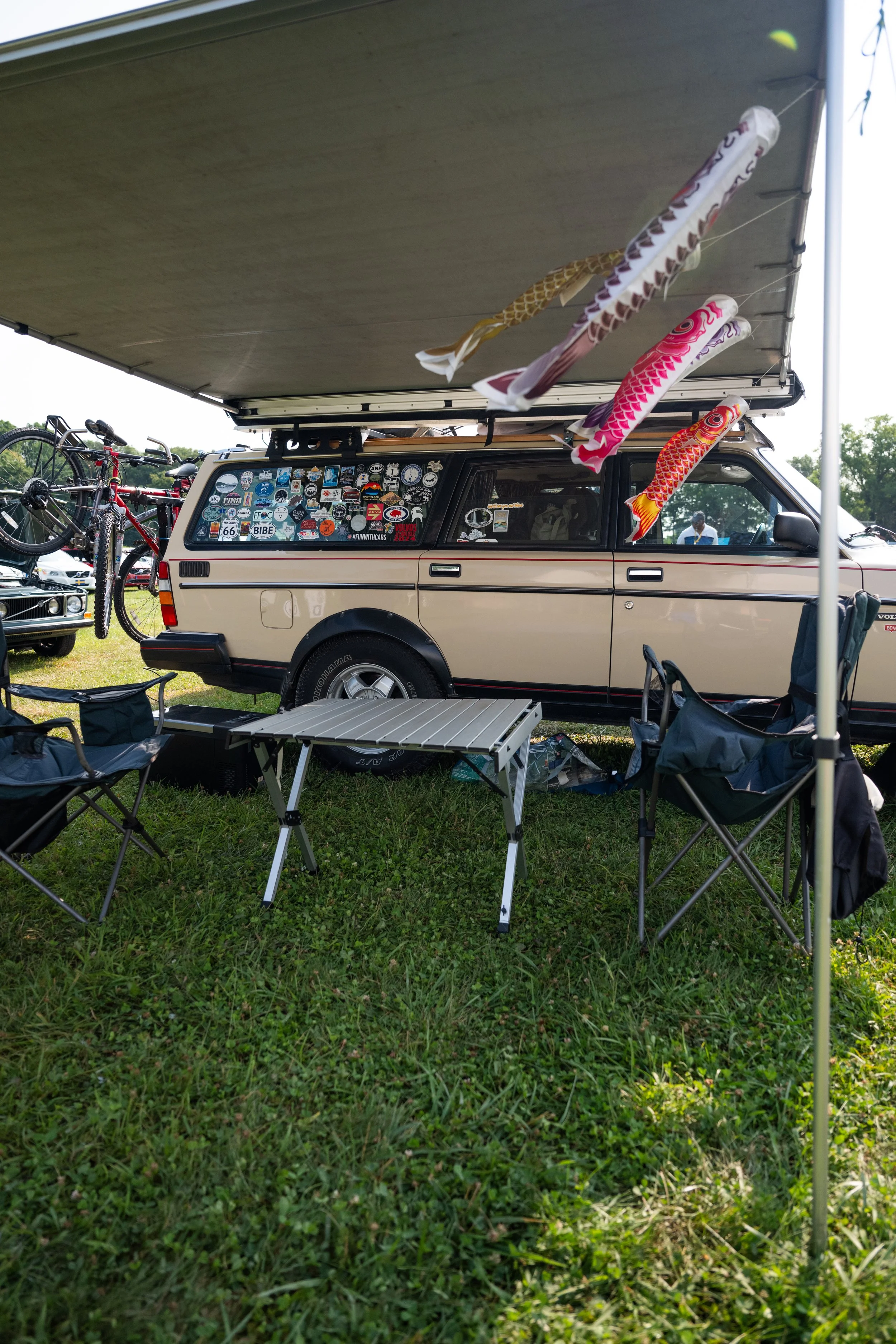 DSC_9712.jpg
