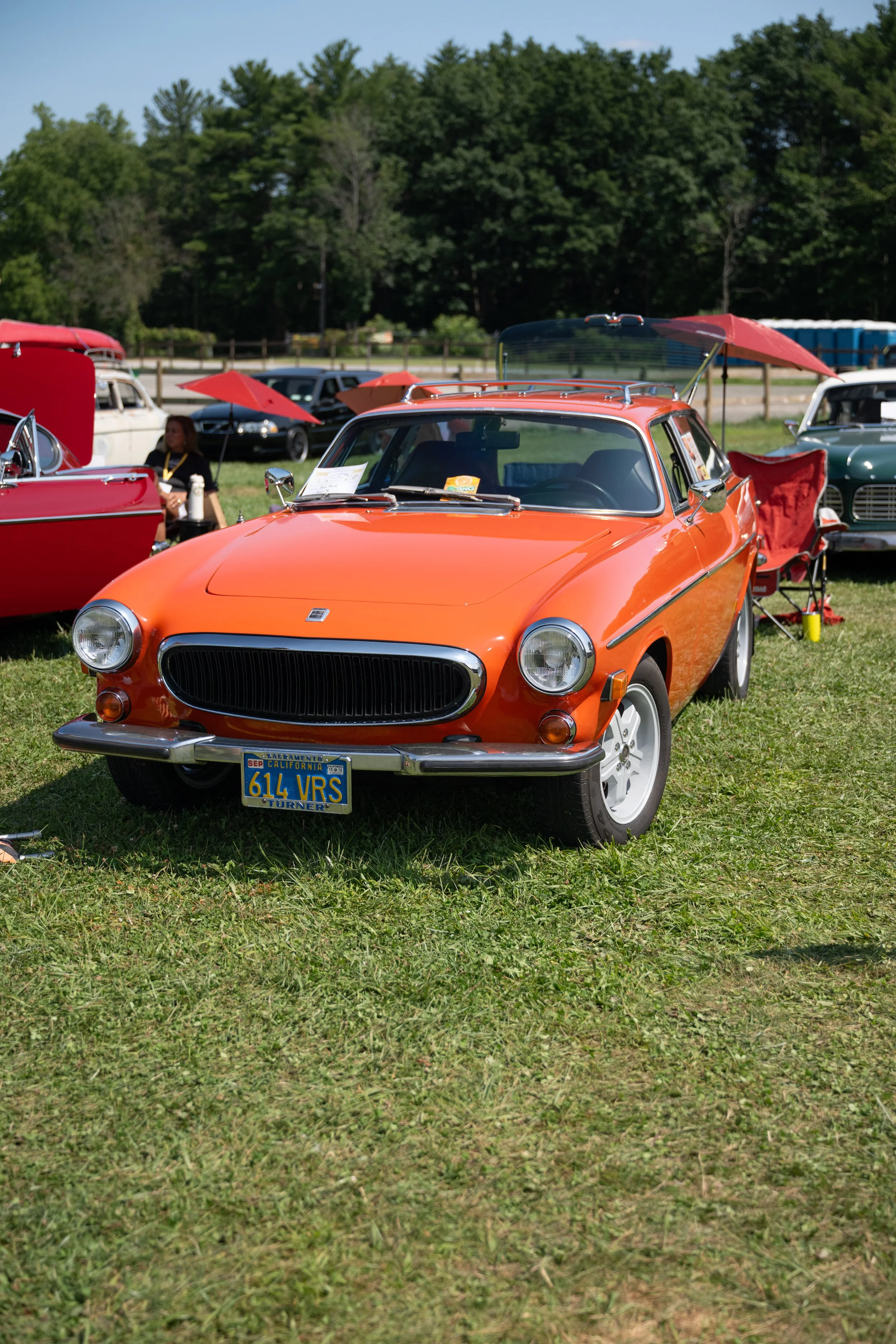 DSC_9733.jpg