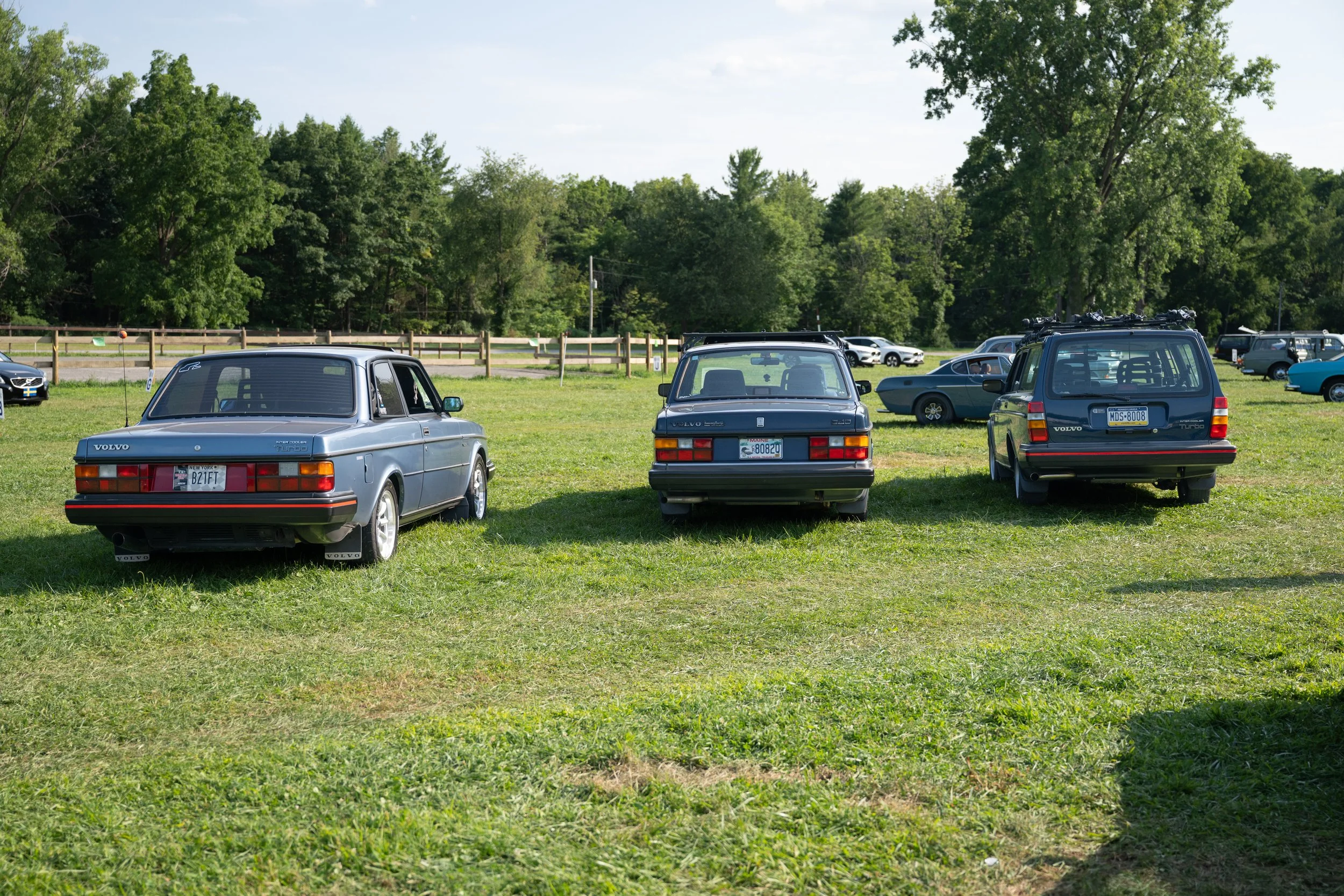 DSC_9748.jpg